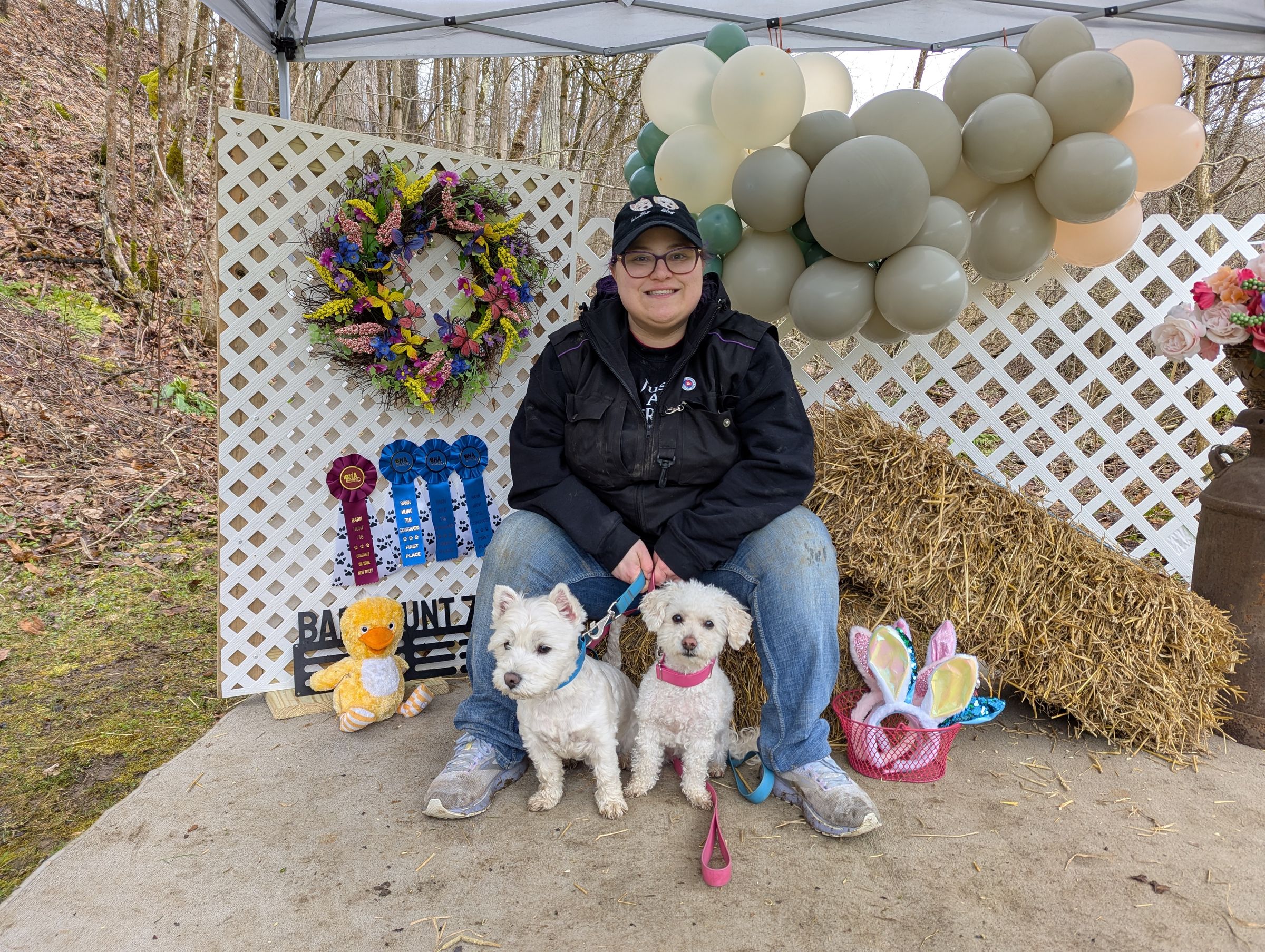 Canine Connected Counseling's image