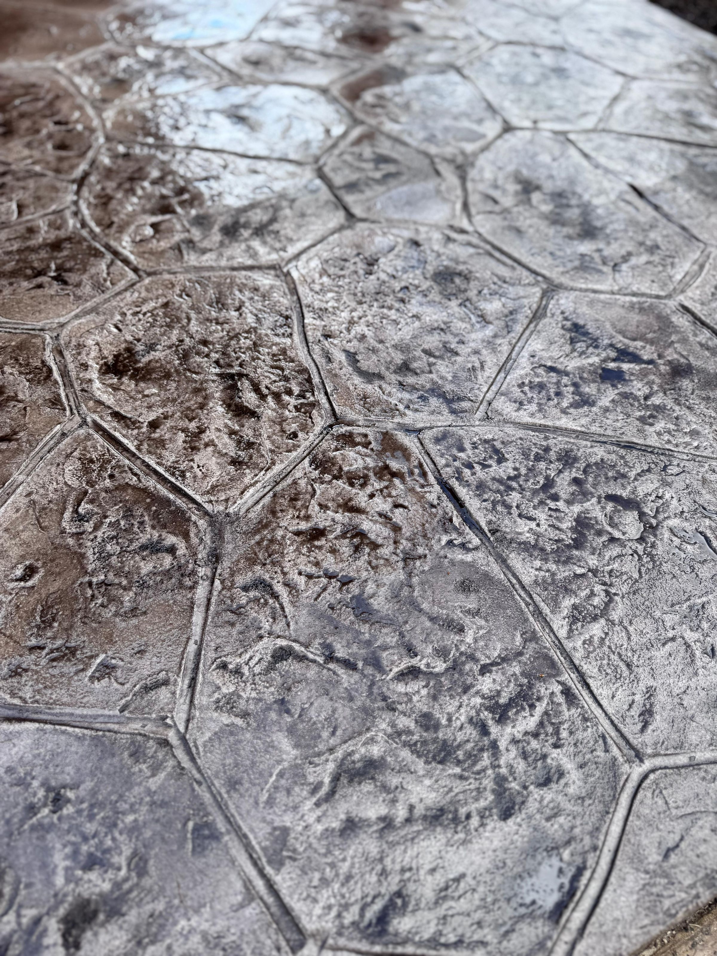 Xotic Concrete | Stamped & Regular Concrete Services 's image