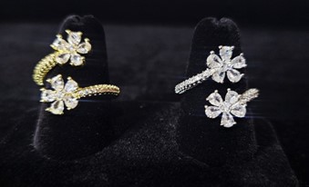 V Lux Boutique 's image