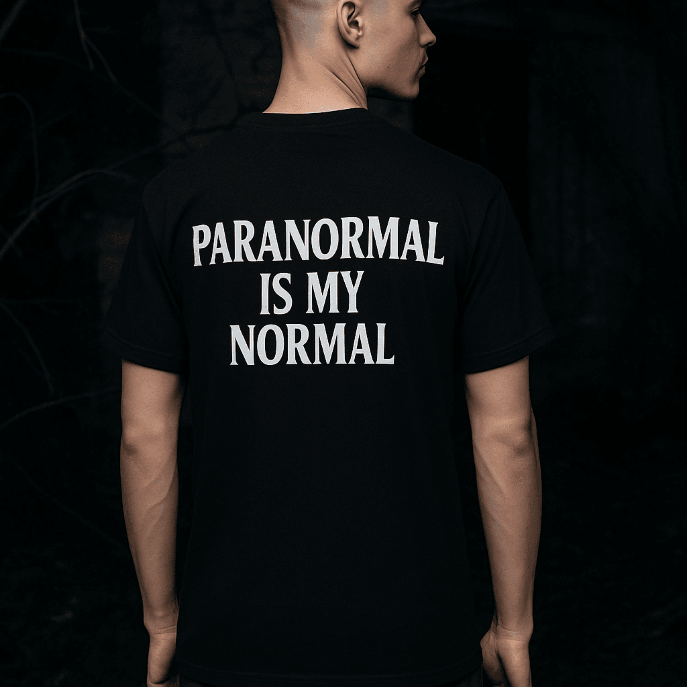 Paranormal Investigations Agency's image