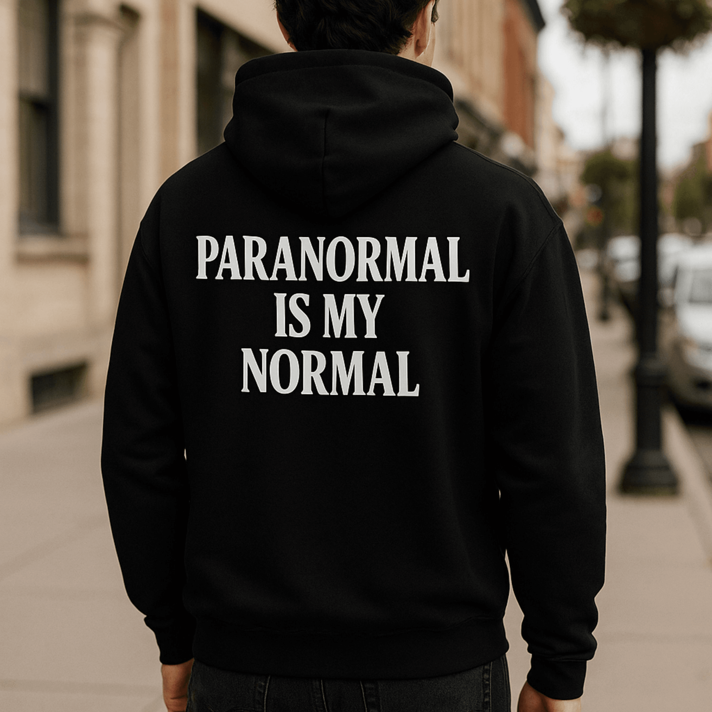 Paranormal Investigations Agency's image