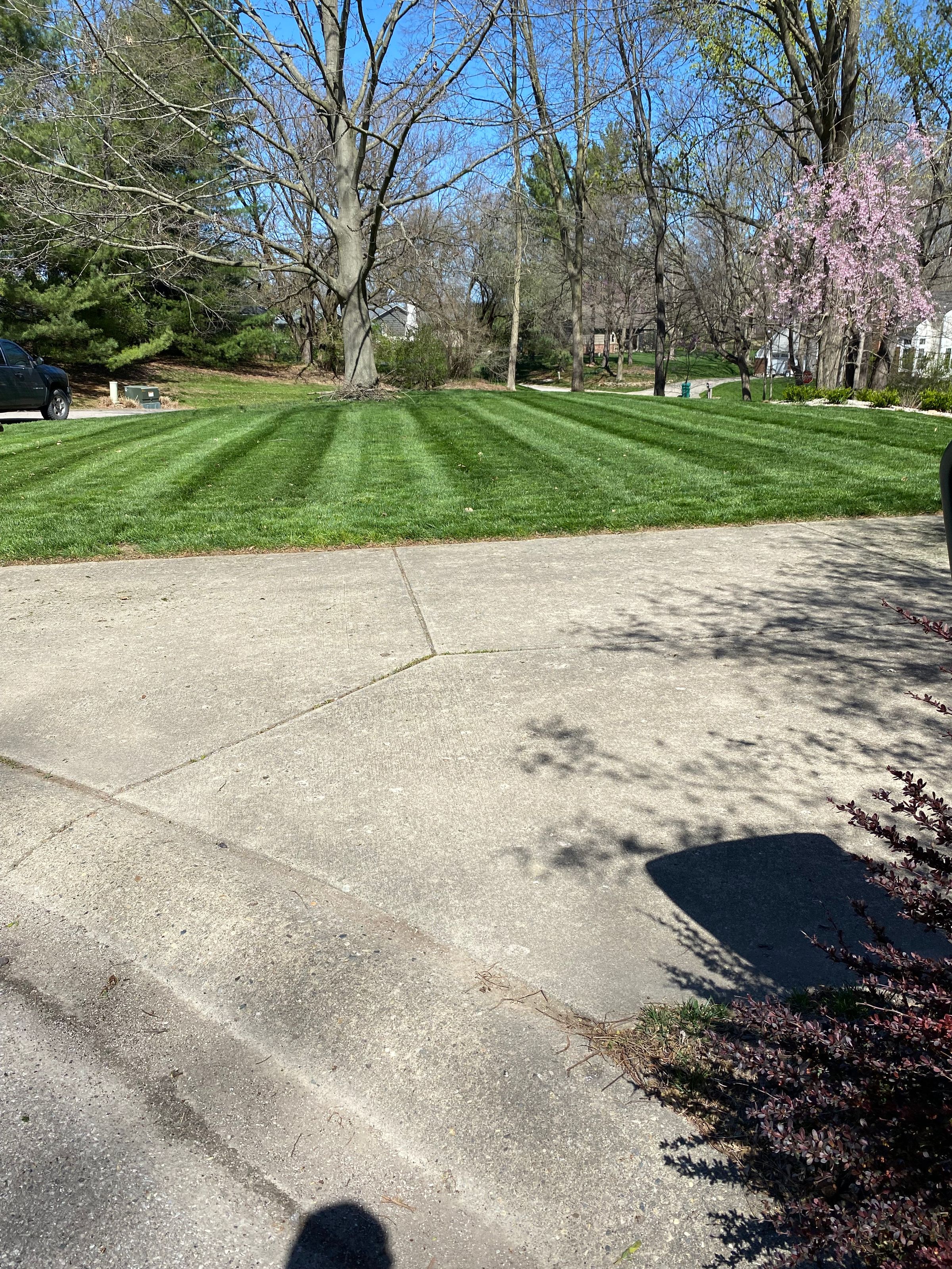 Nature's Edge's image