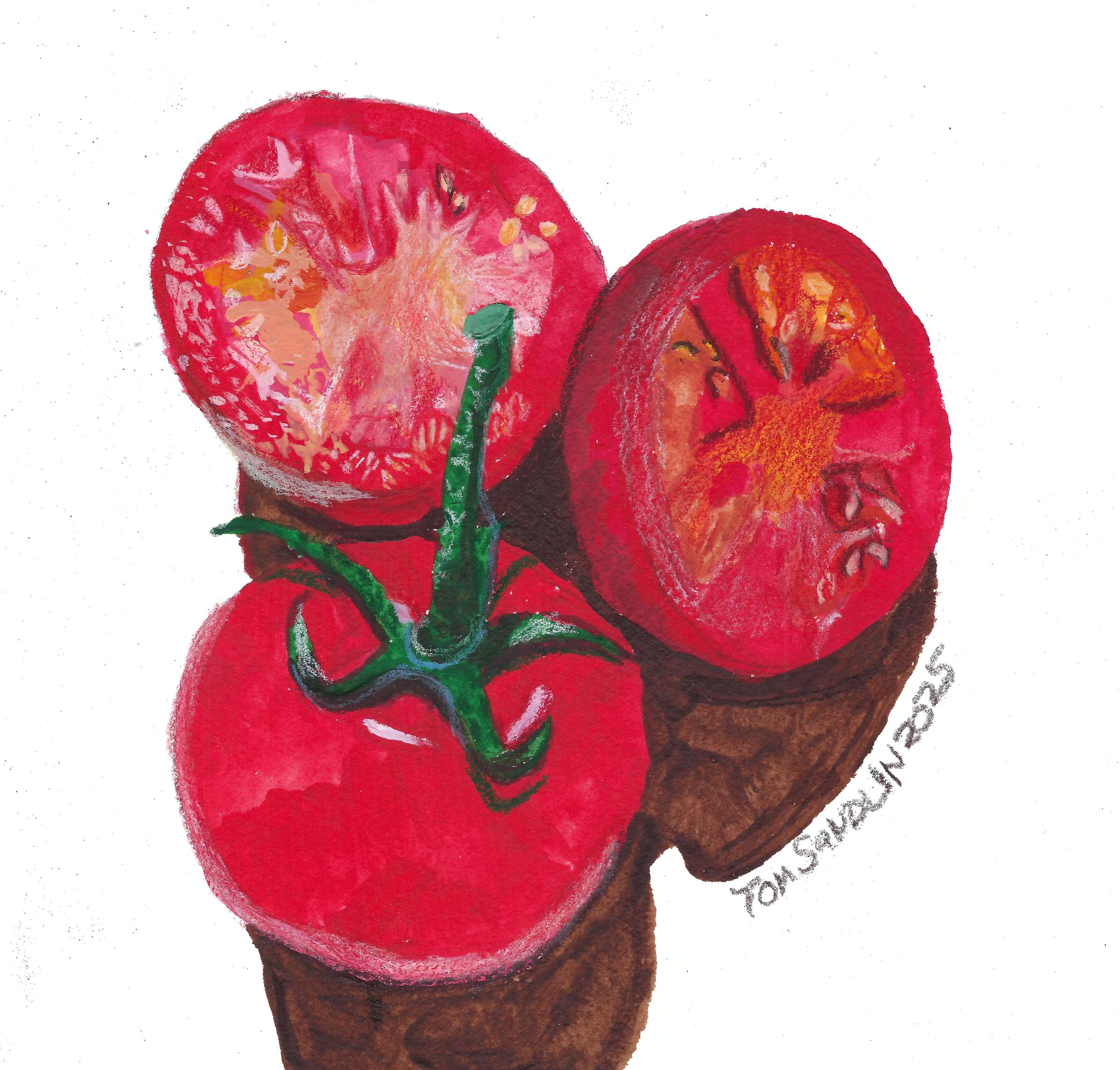 Watercolor s with Colored Pencils Illustration of Tomatoes Still life