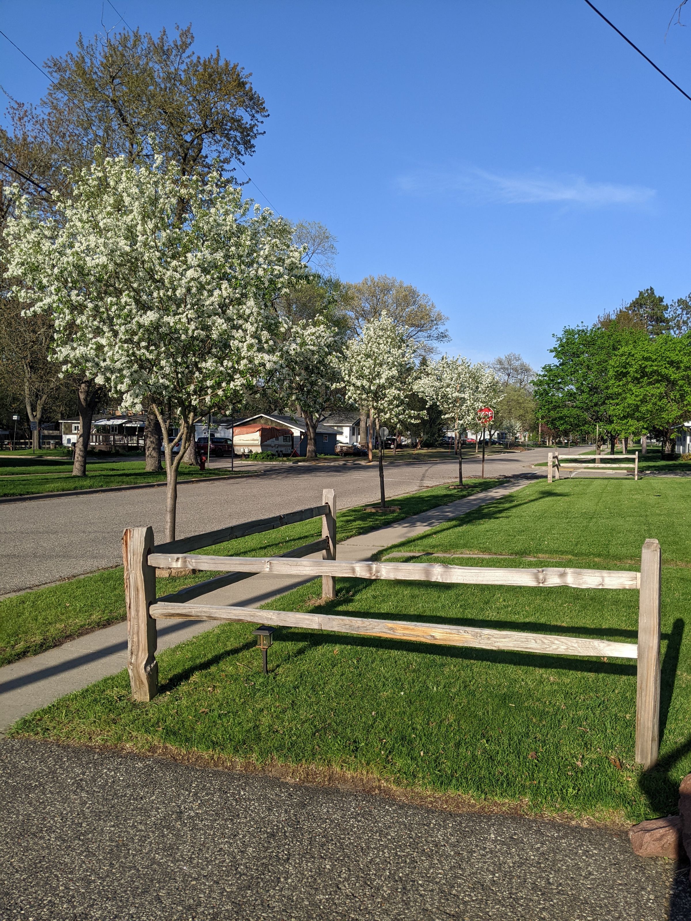 Anderson Lawncare's image