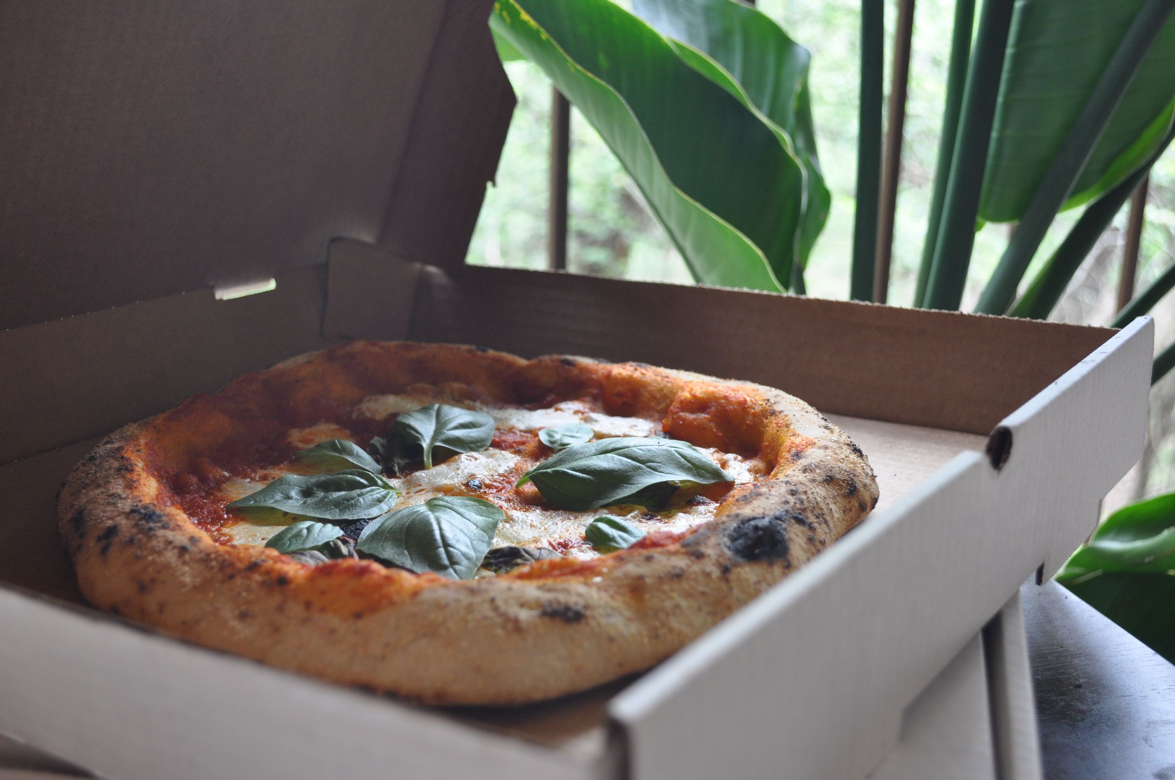 Captain's Pizza's image