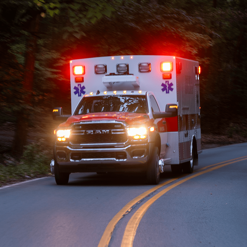 Sirens of The Shield's image