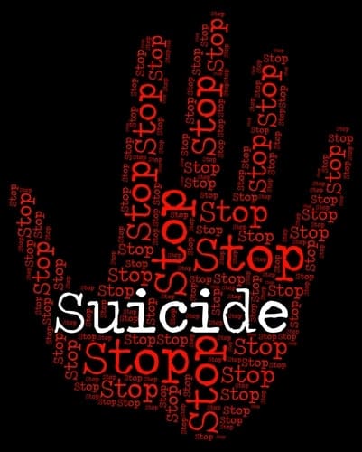 Sirens of The Shield's image