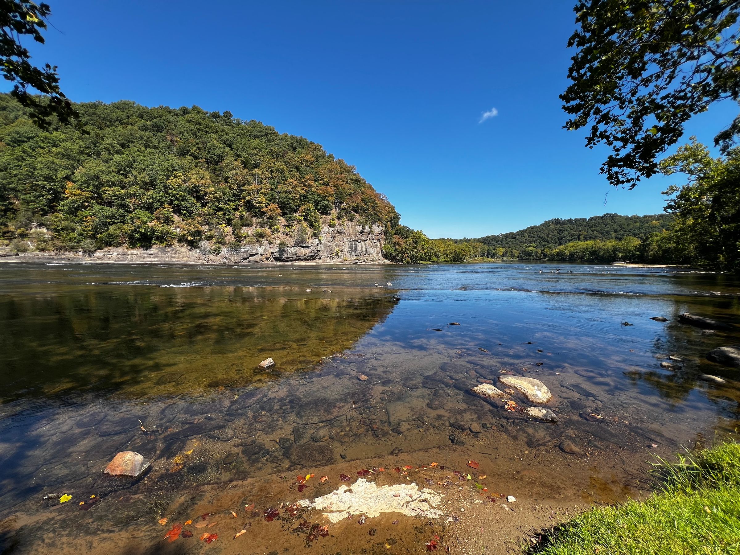 Sirens of The Shield's image