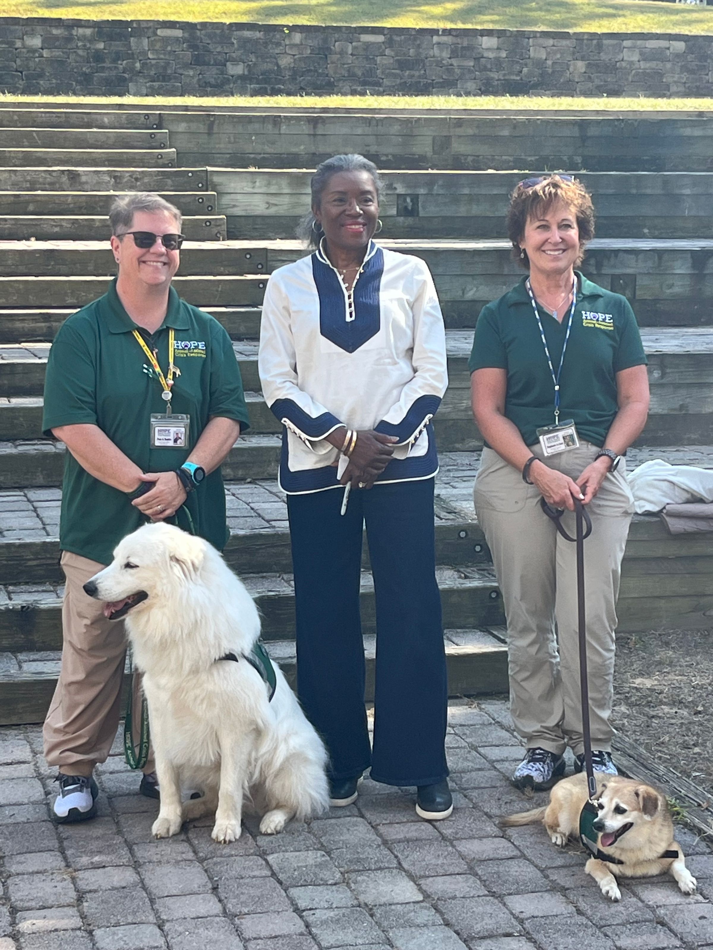 Sirens of The Shield's image