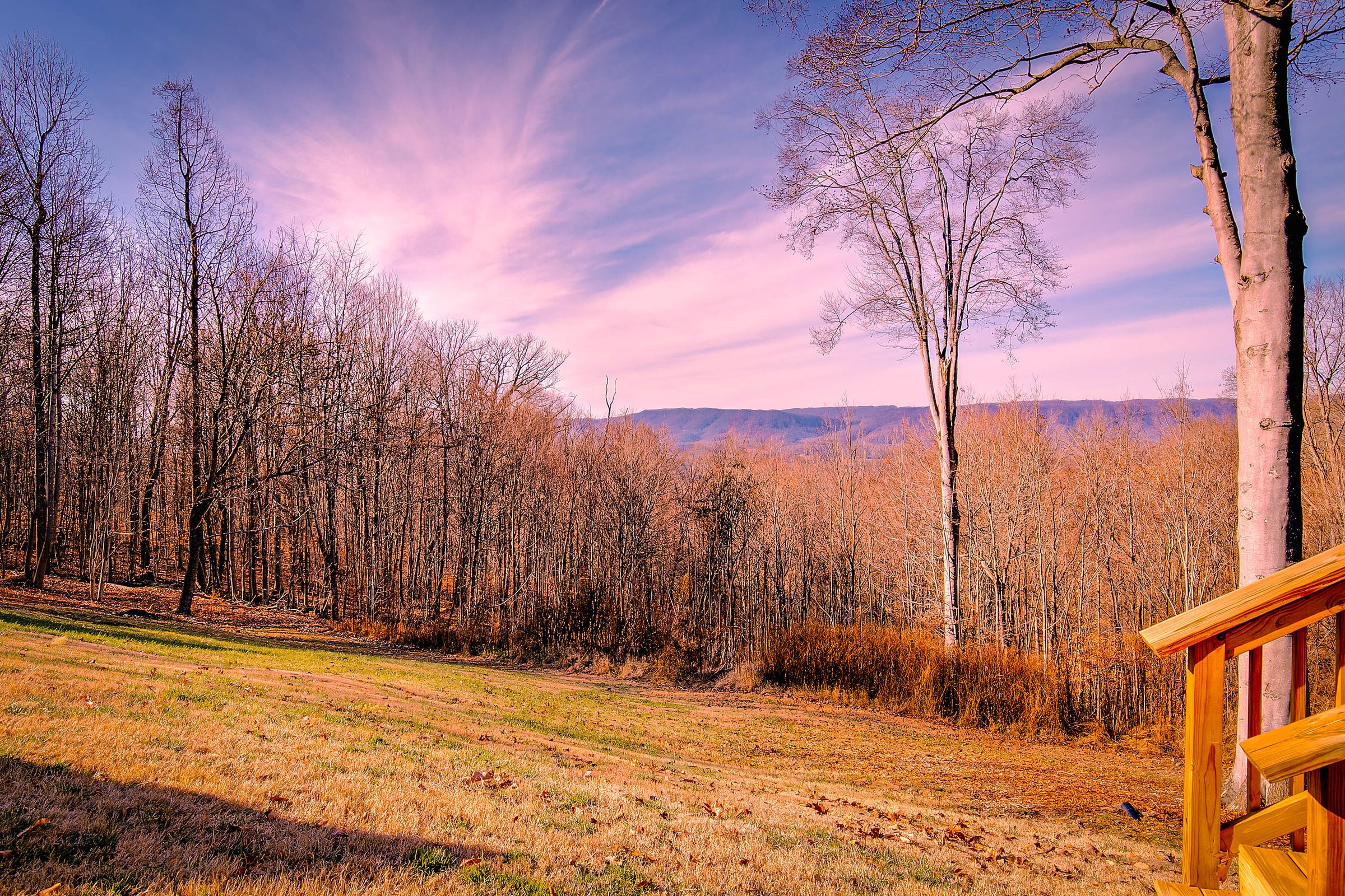 HomeSelfies Real Estate Media's image