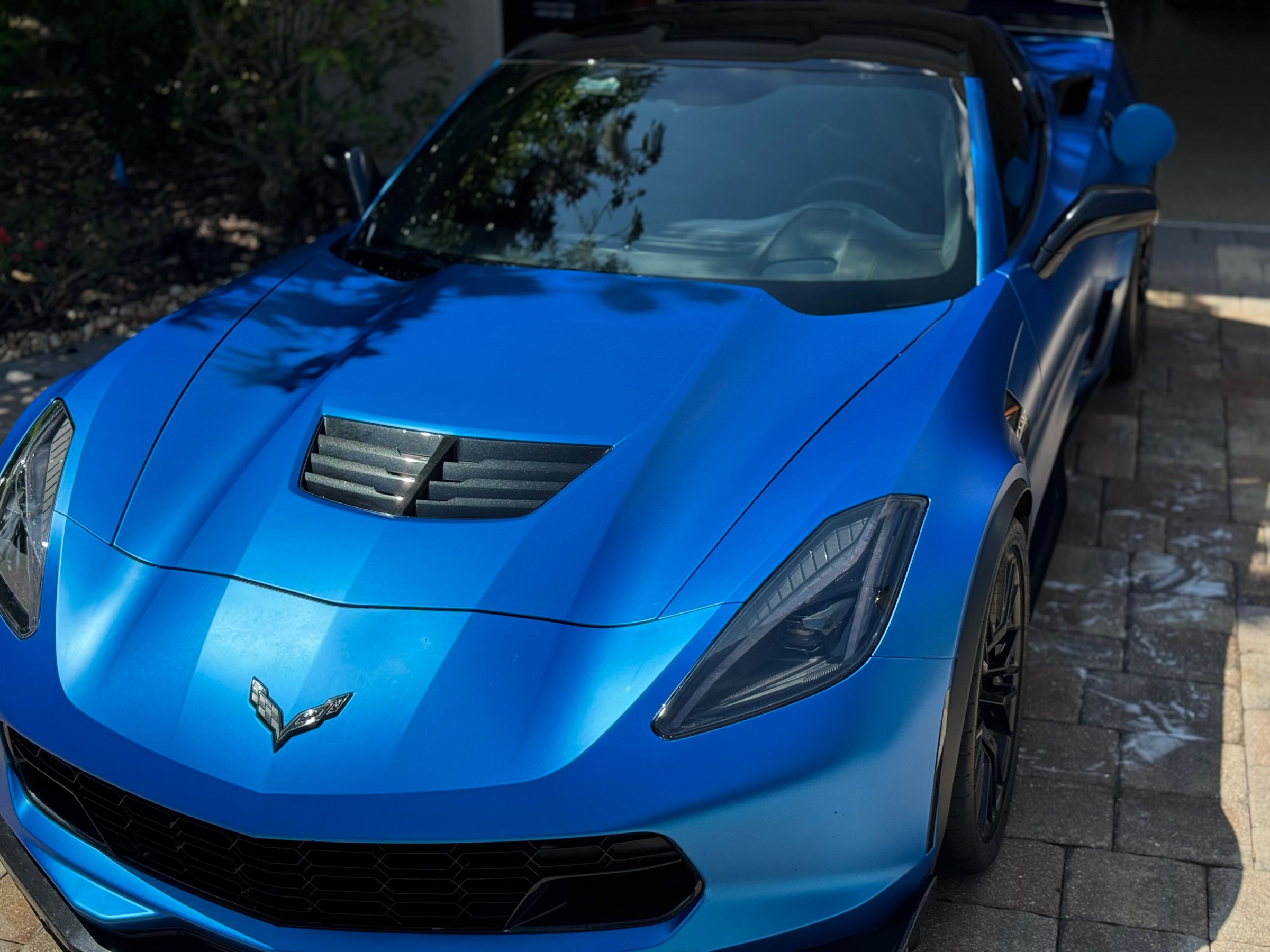 Elite Auto Spa's image