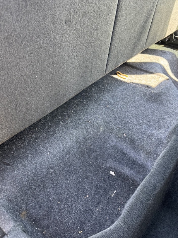 Elite Auto Spa's image