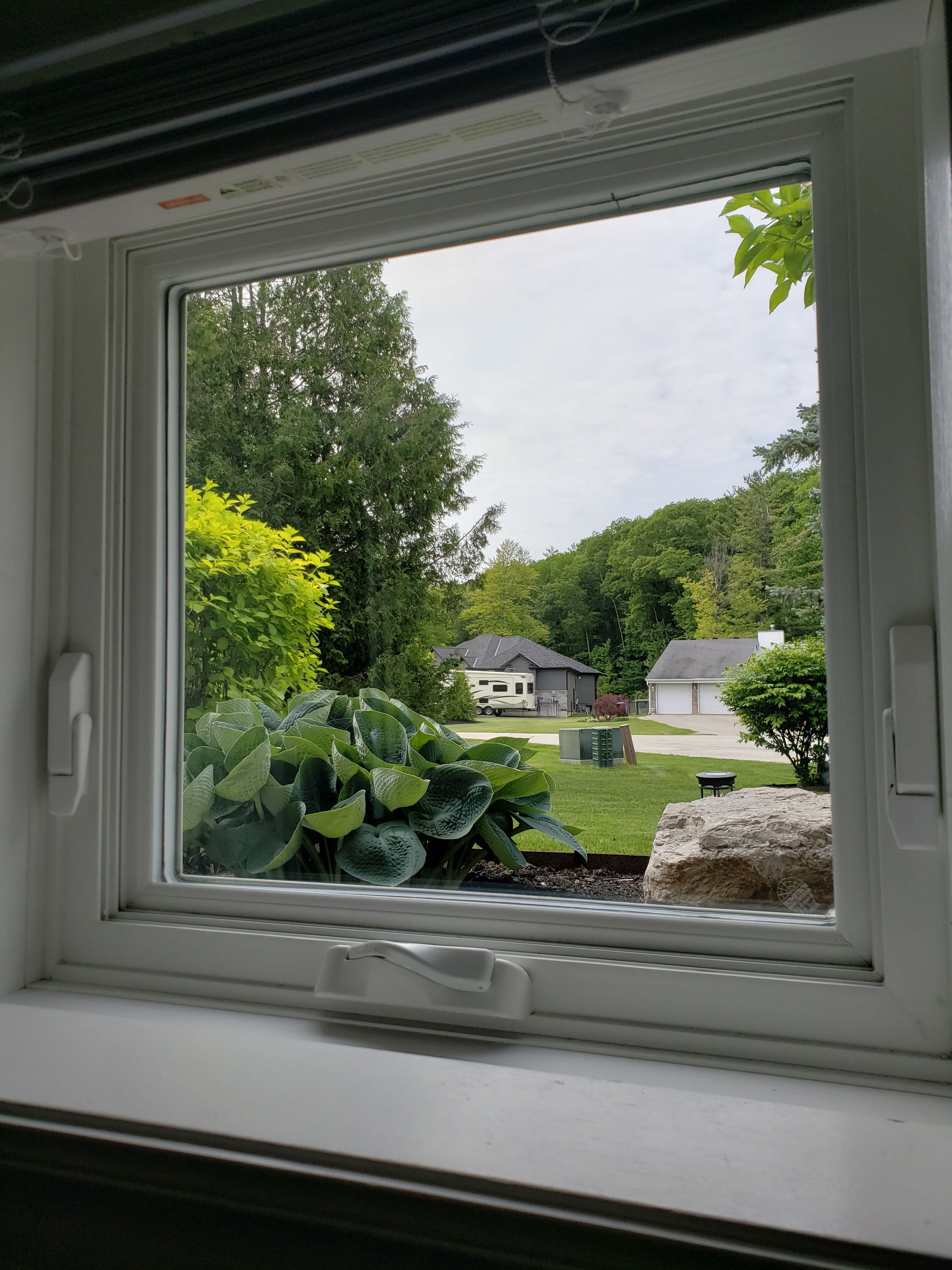 RURAL REFLECTIONS 's image