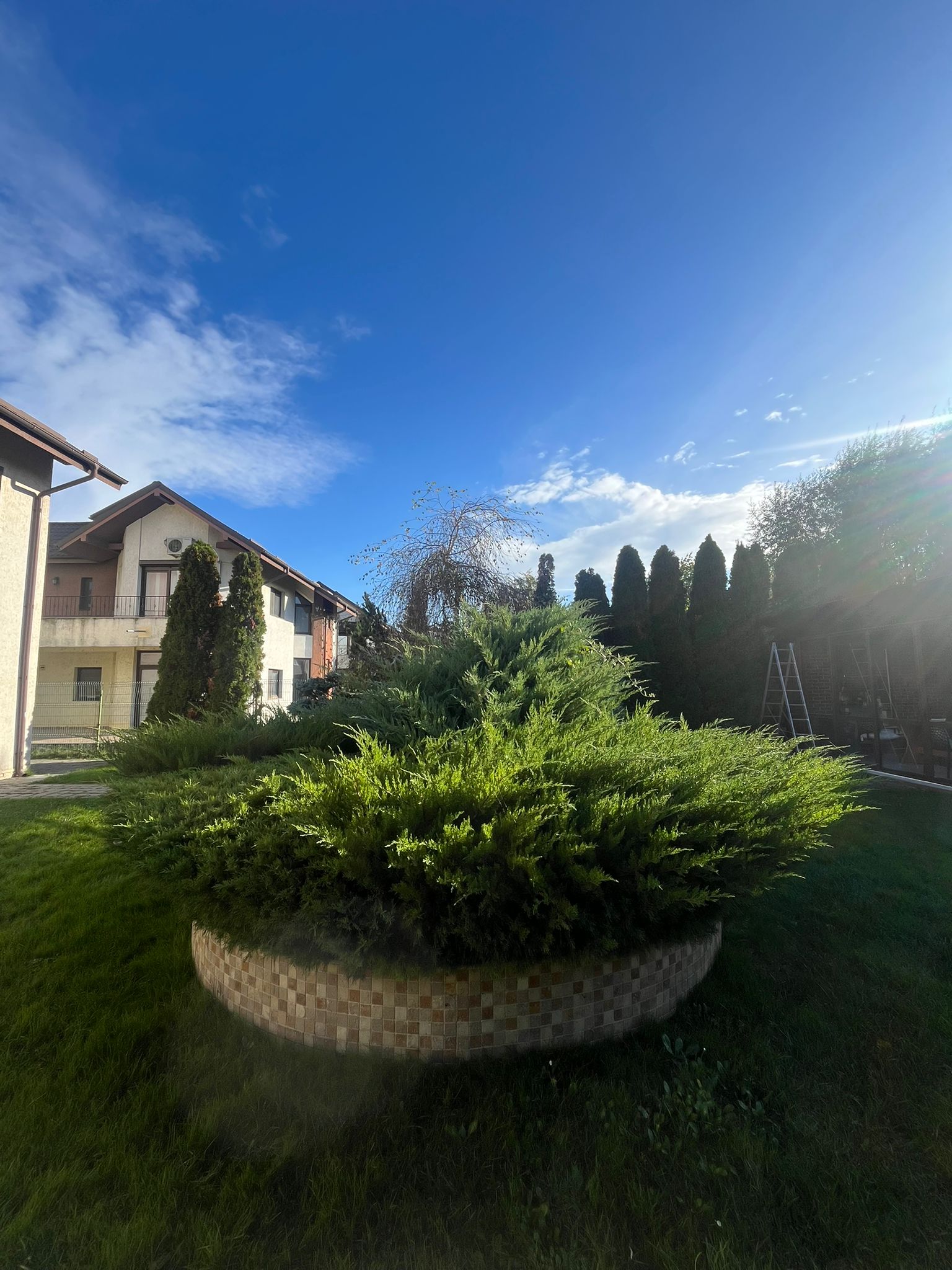 Amenajare Grădină De Vis Bacău's image