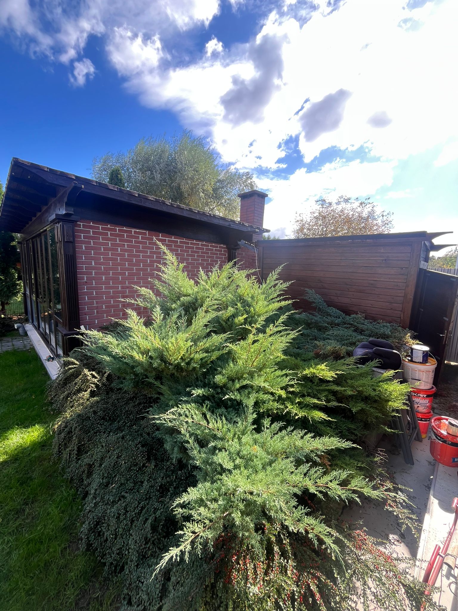 Amenajare Grădină De Vis Bacău's image