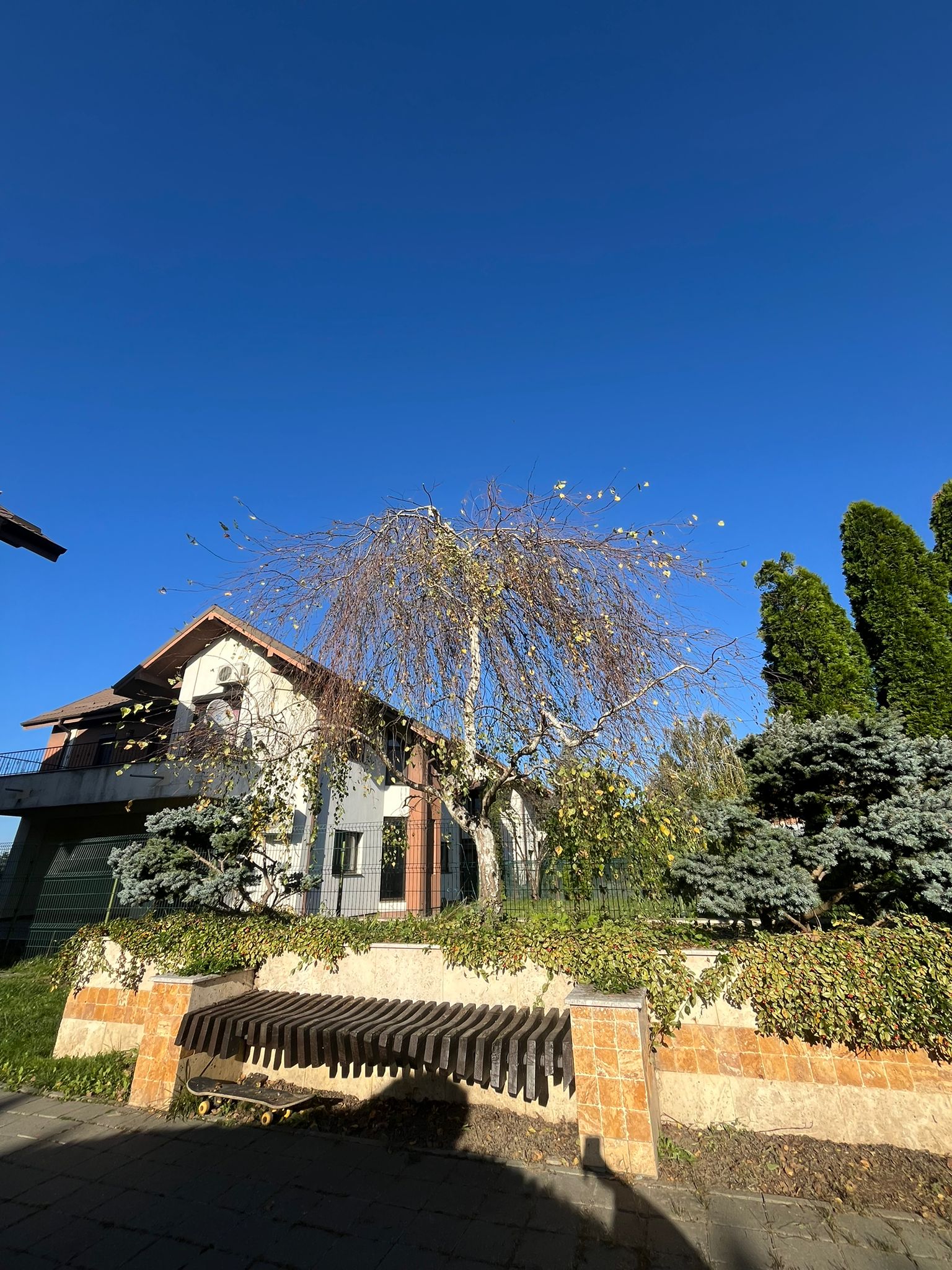 Amenajare Grădină De Vis Bacău's image