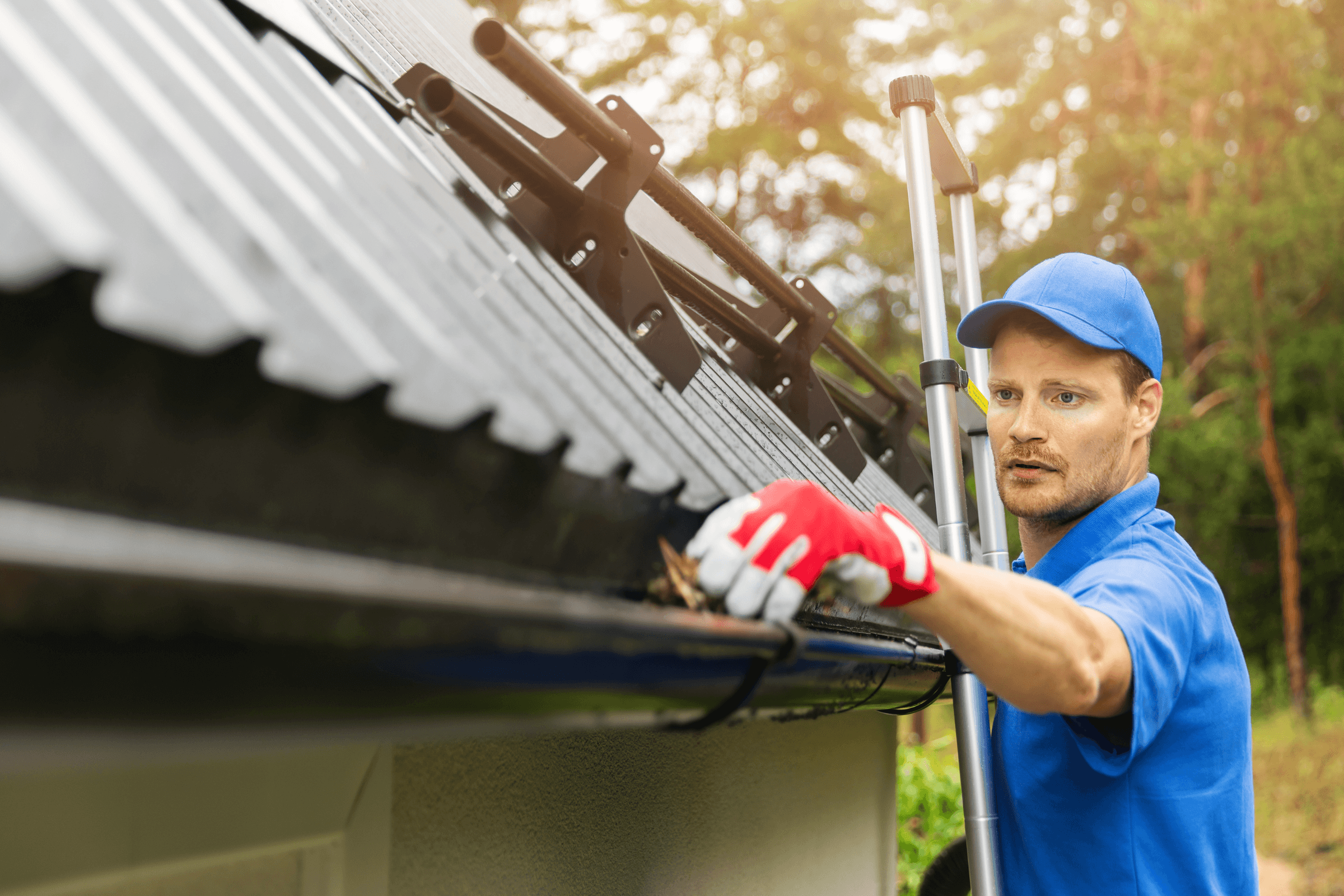 A1 Home and Garden Care's image