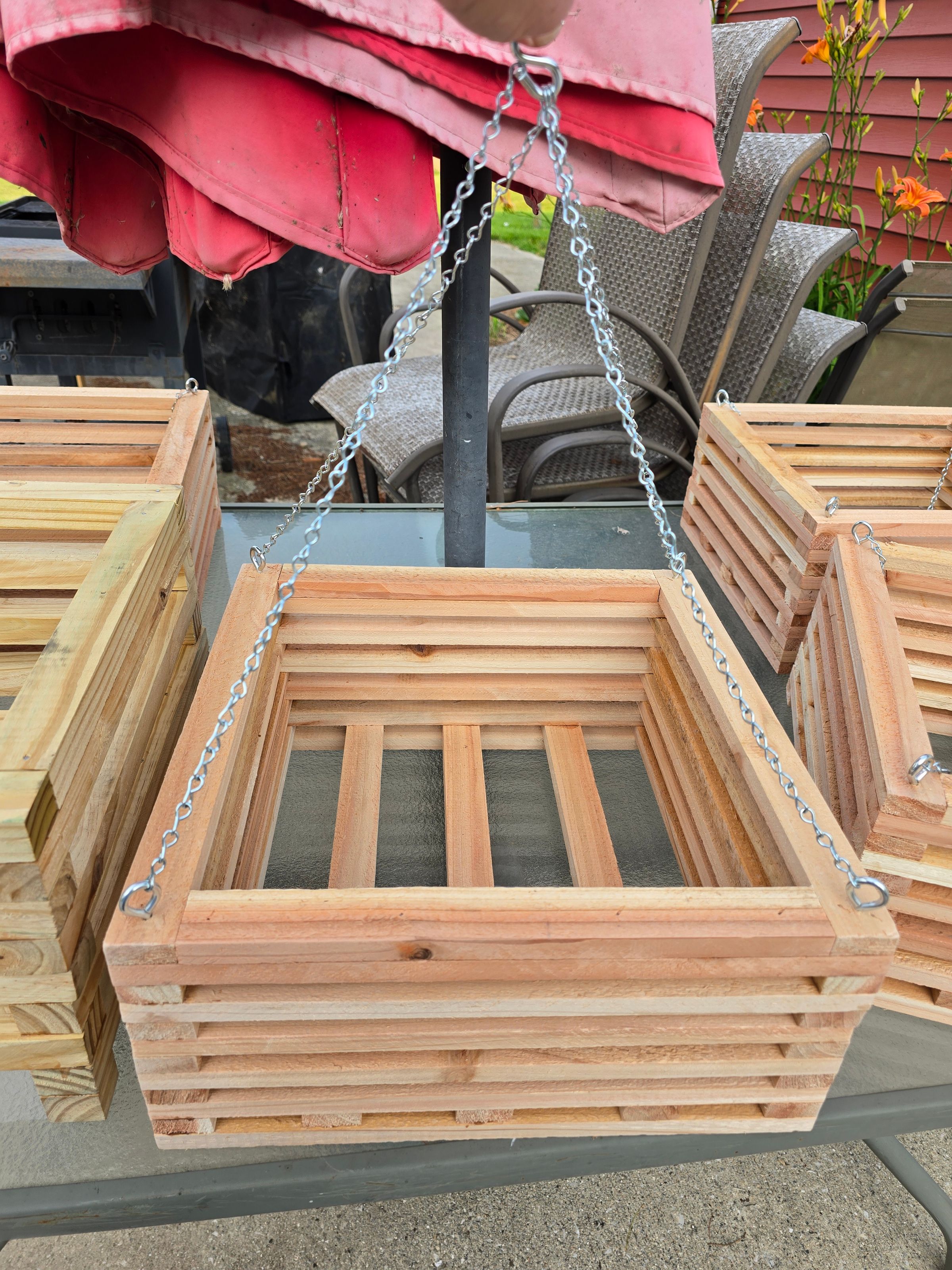 Harvey's Sawdust Shenanigans's image