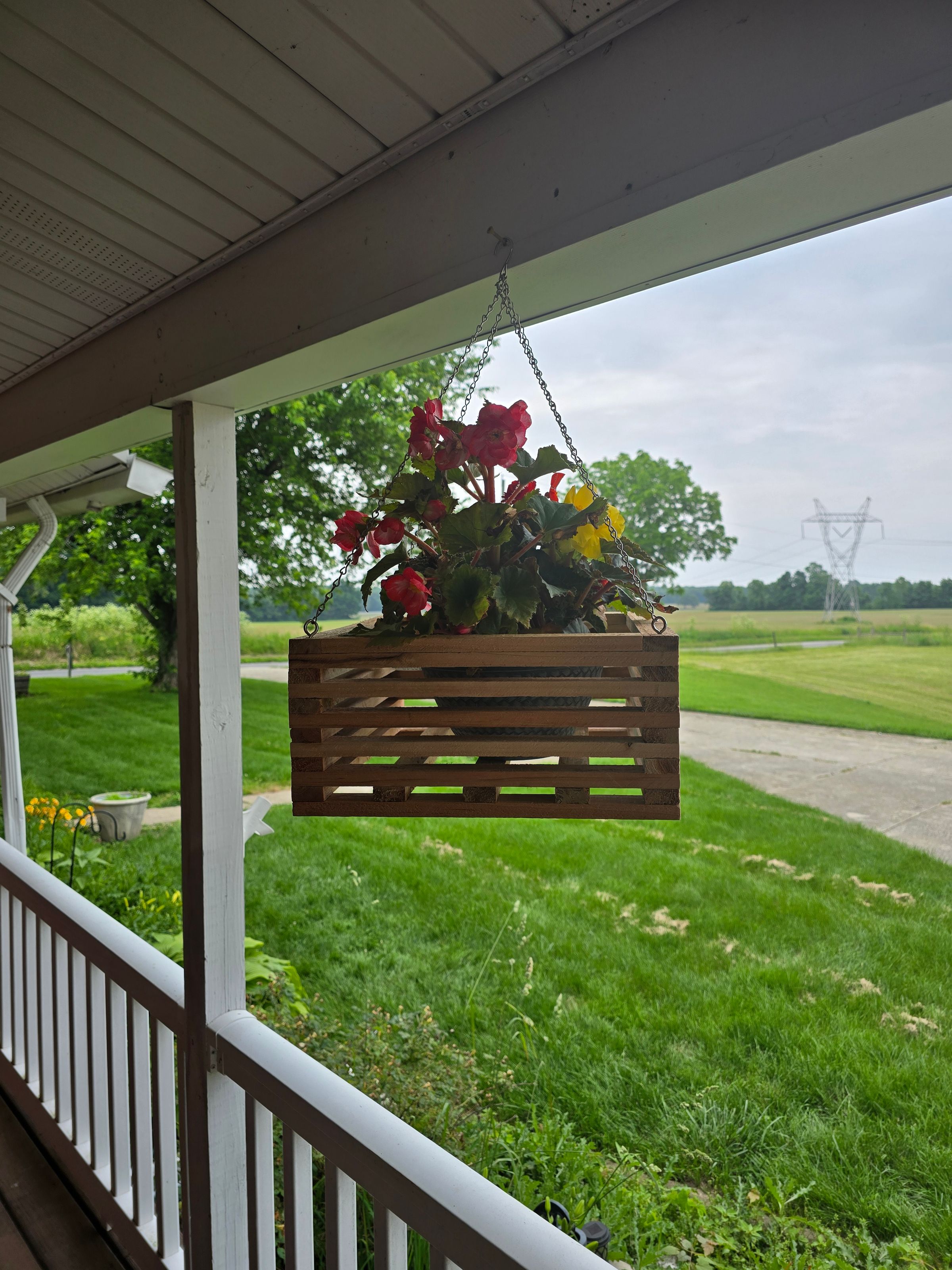 Harvey's Sawdust Shenanigans's image