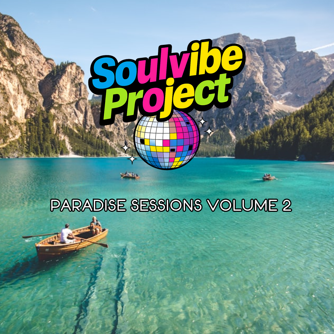 Soulvibe Project  's image