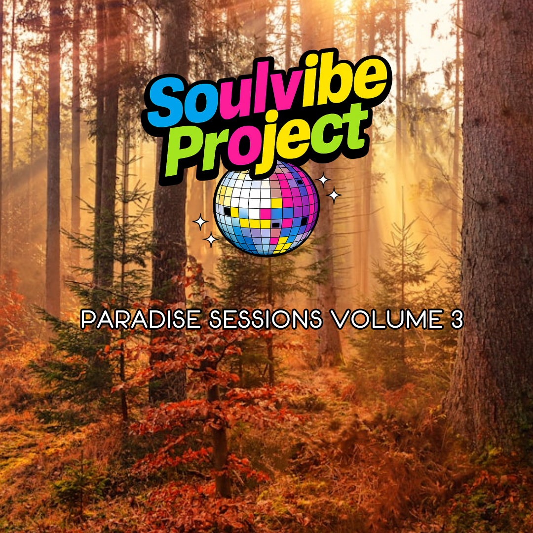 Soulvibe Project  's image