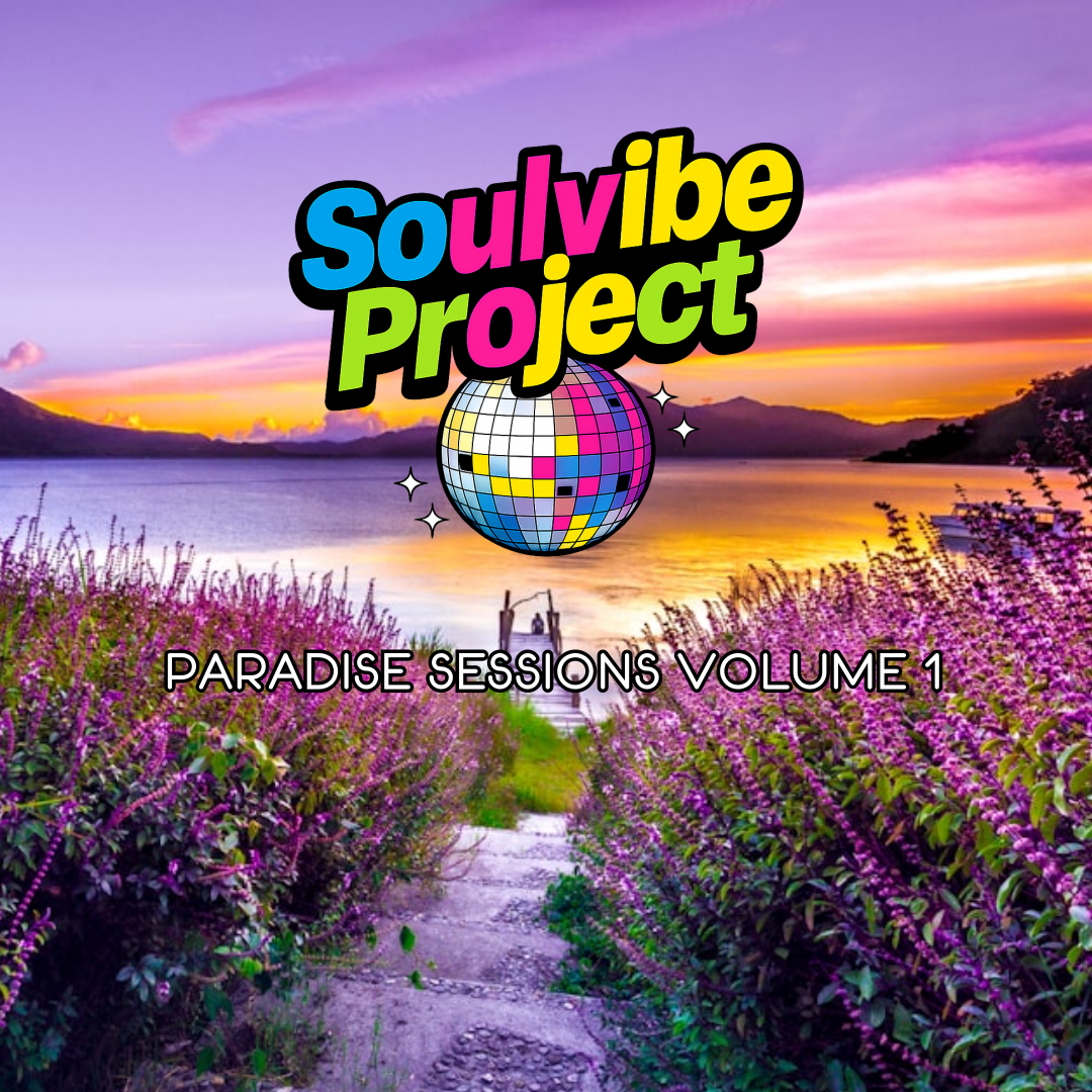 Soulvibe Project  's image