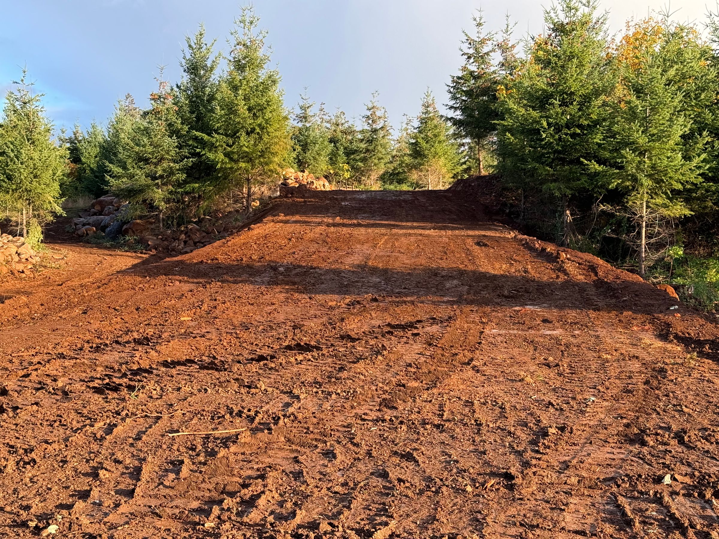 Badger Excavation & Land Clearing's image