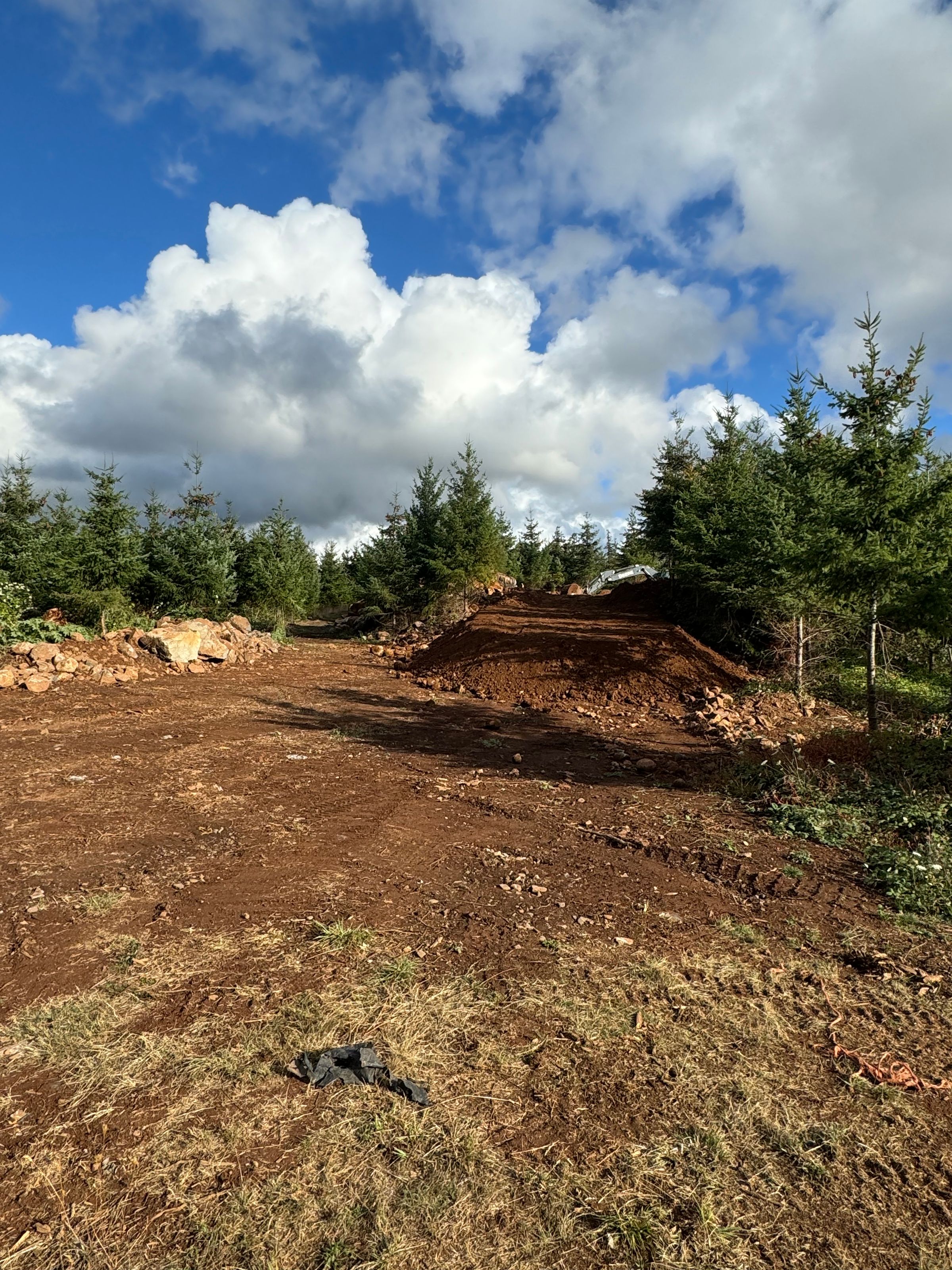 Badger Excavation & Land Clearing's image