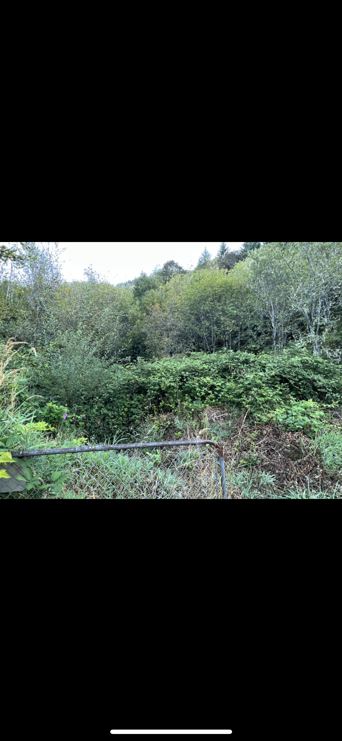 Badger Excavation & Land Clearing's image
