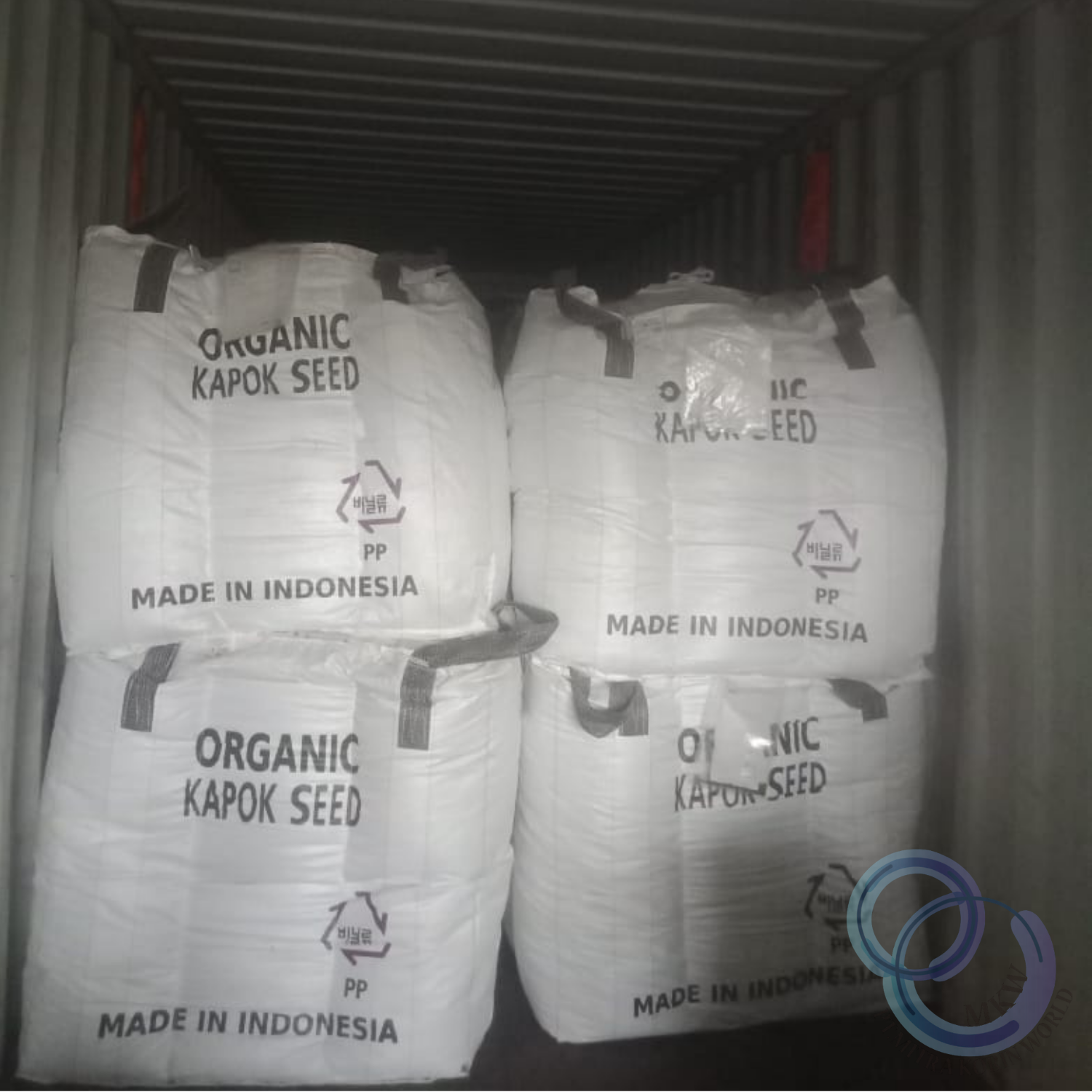 Mitra Korin World 's image