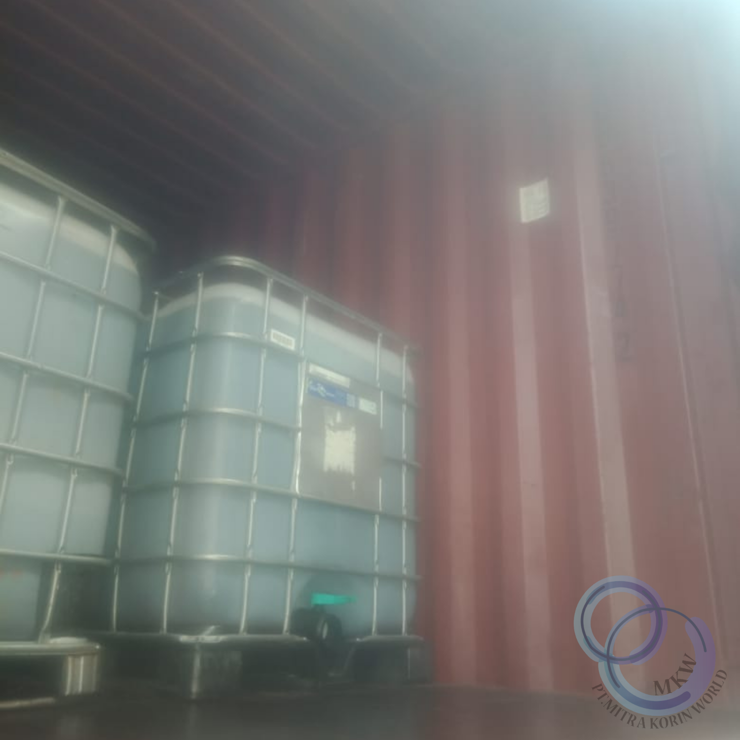 Mitra Korin World 's image