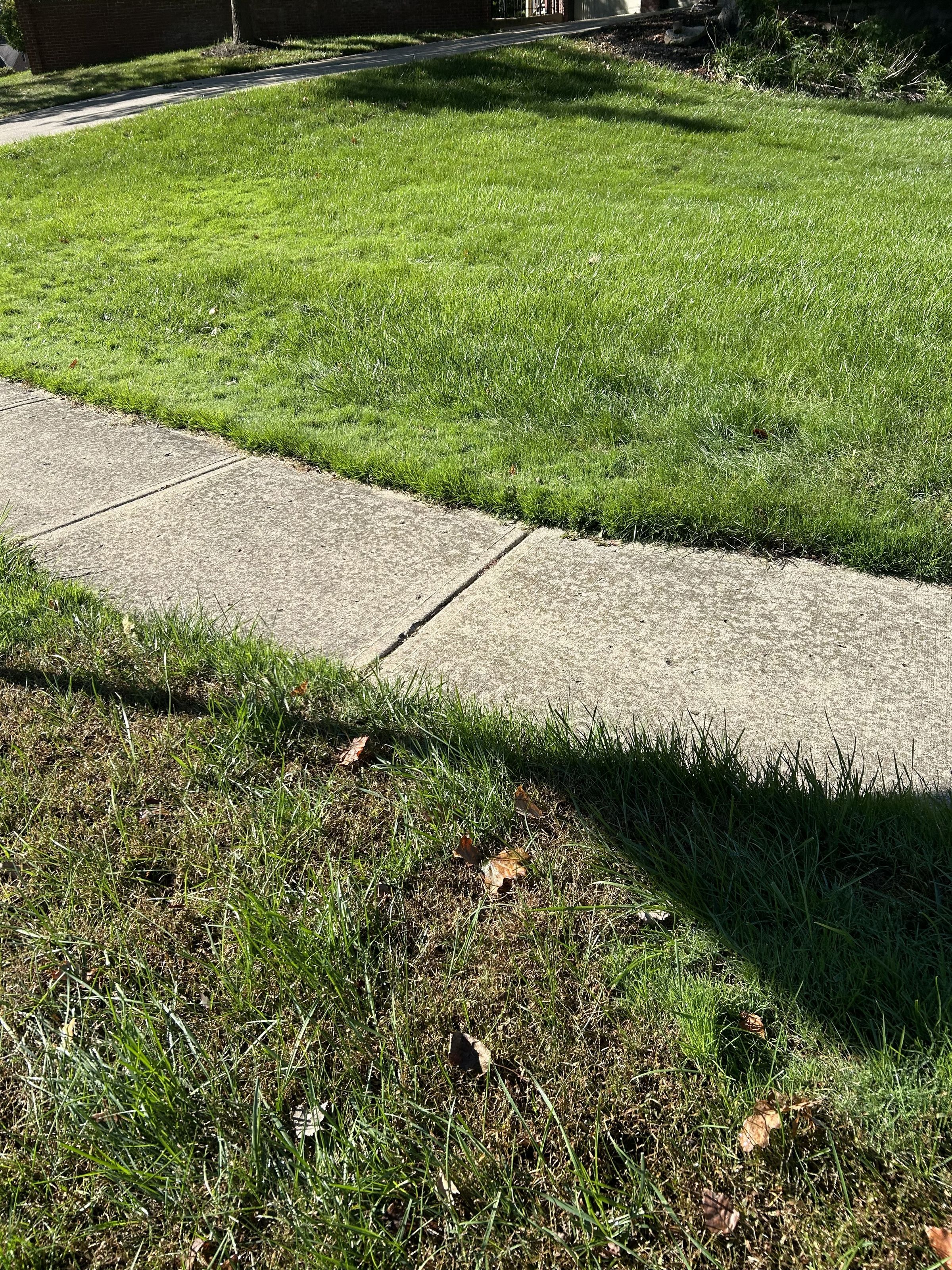 D and G Lawn Care's image