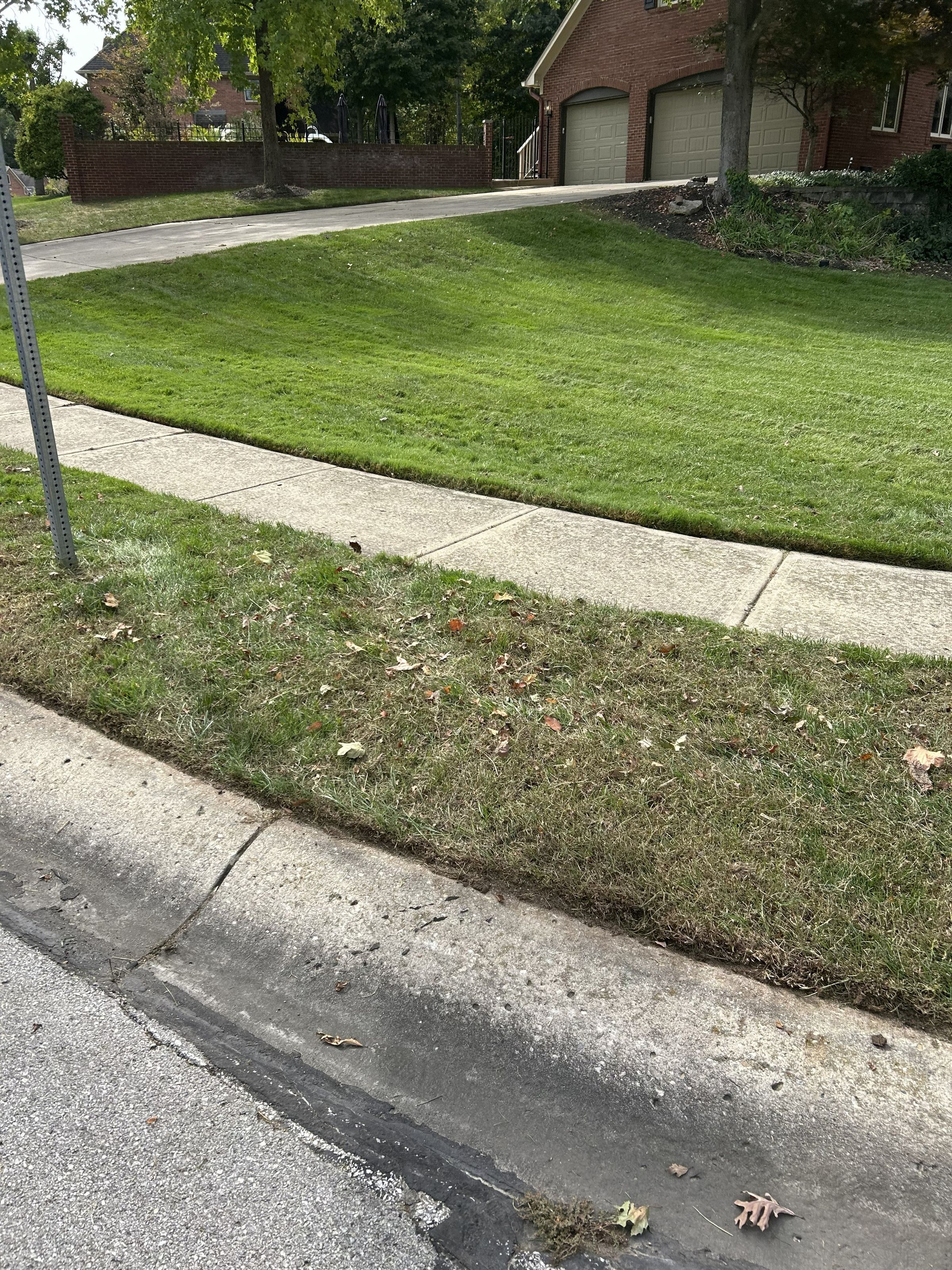 D and G Lawn Care's image