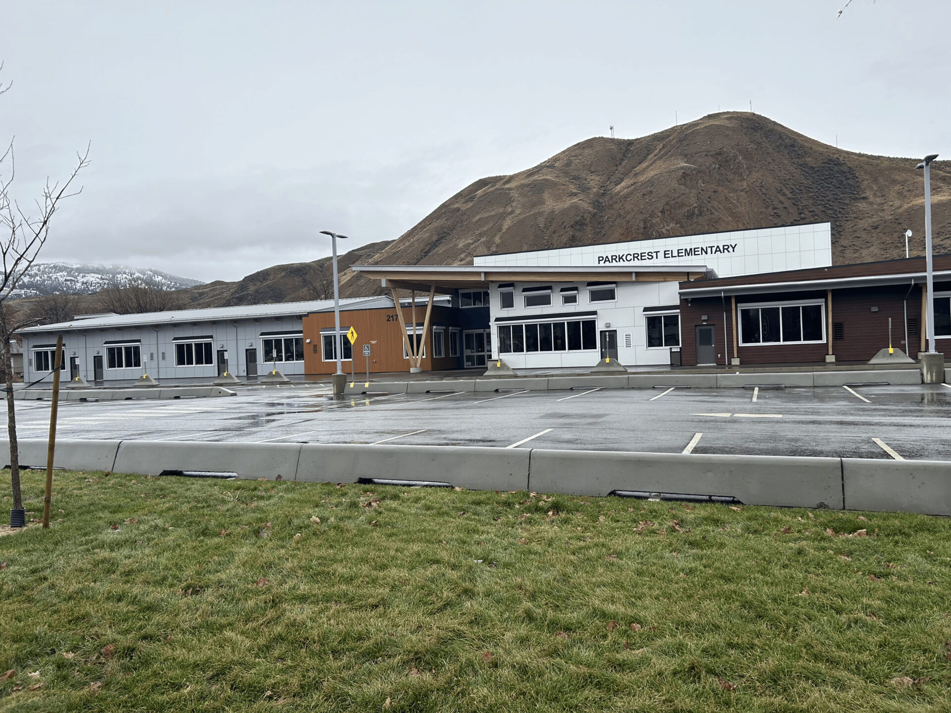 ACE- Solutions's image