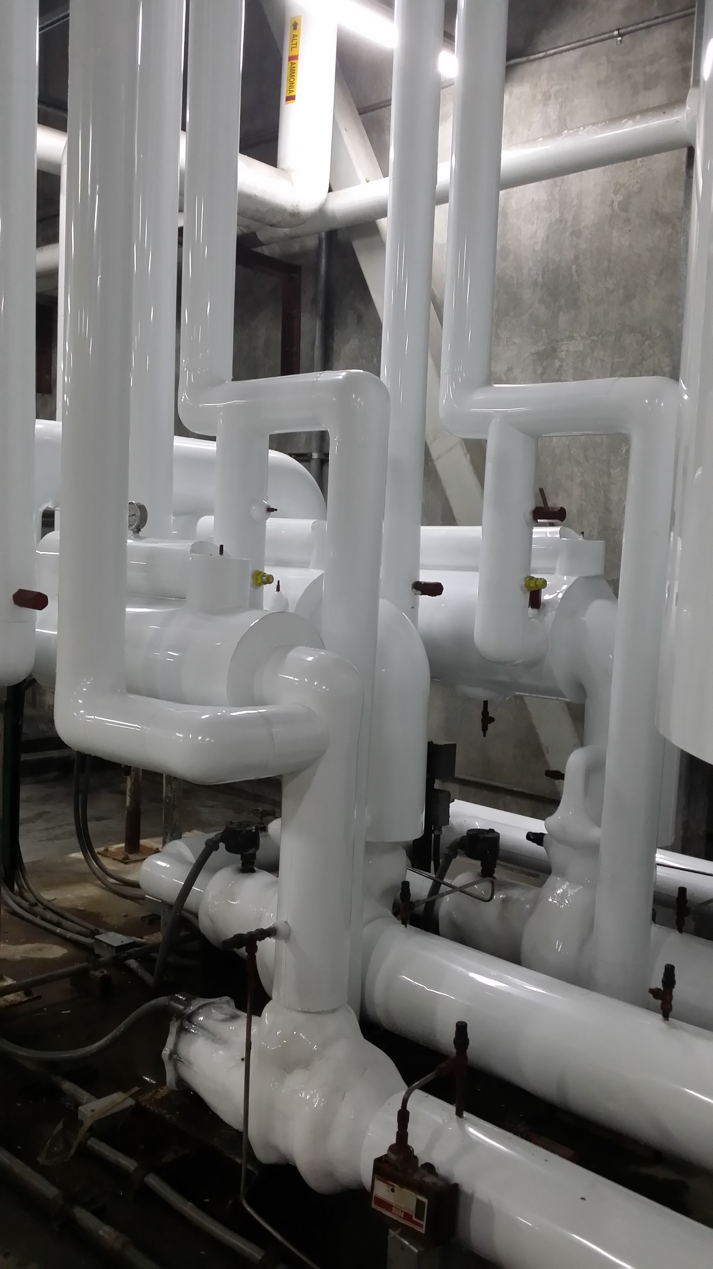 ACE- Solutions's image