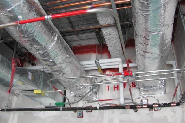 ACE- Solutions's image