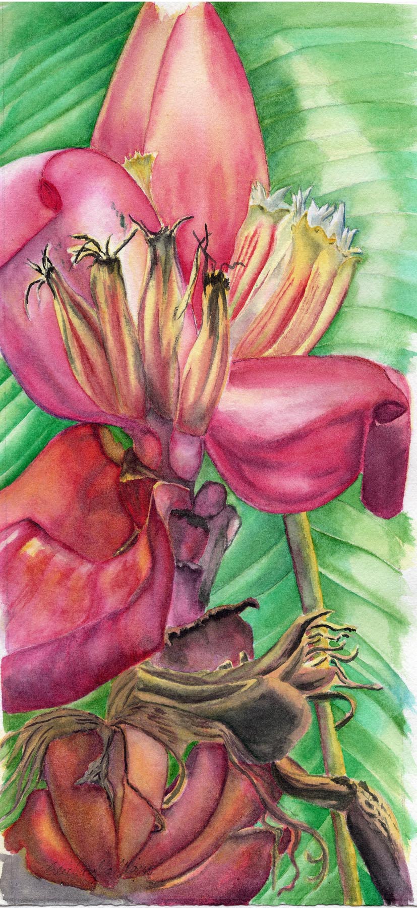 Cecilia Galliano Art's image