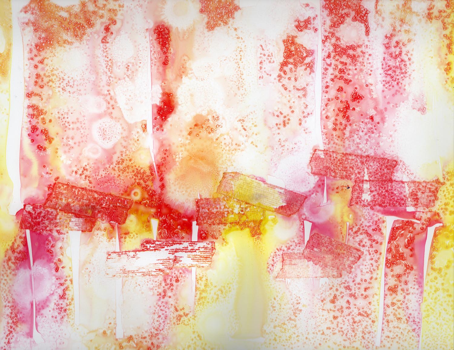 Cecilia Galliano Art's image