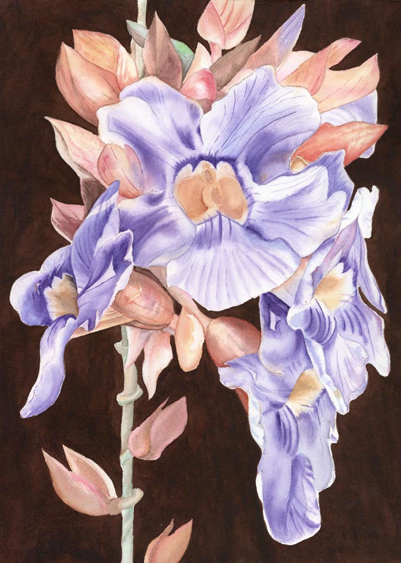 Cecilia Galliano Art's image