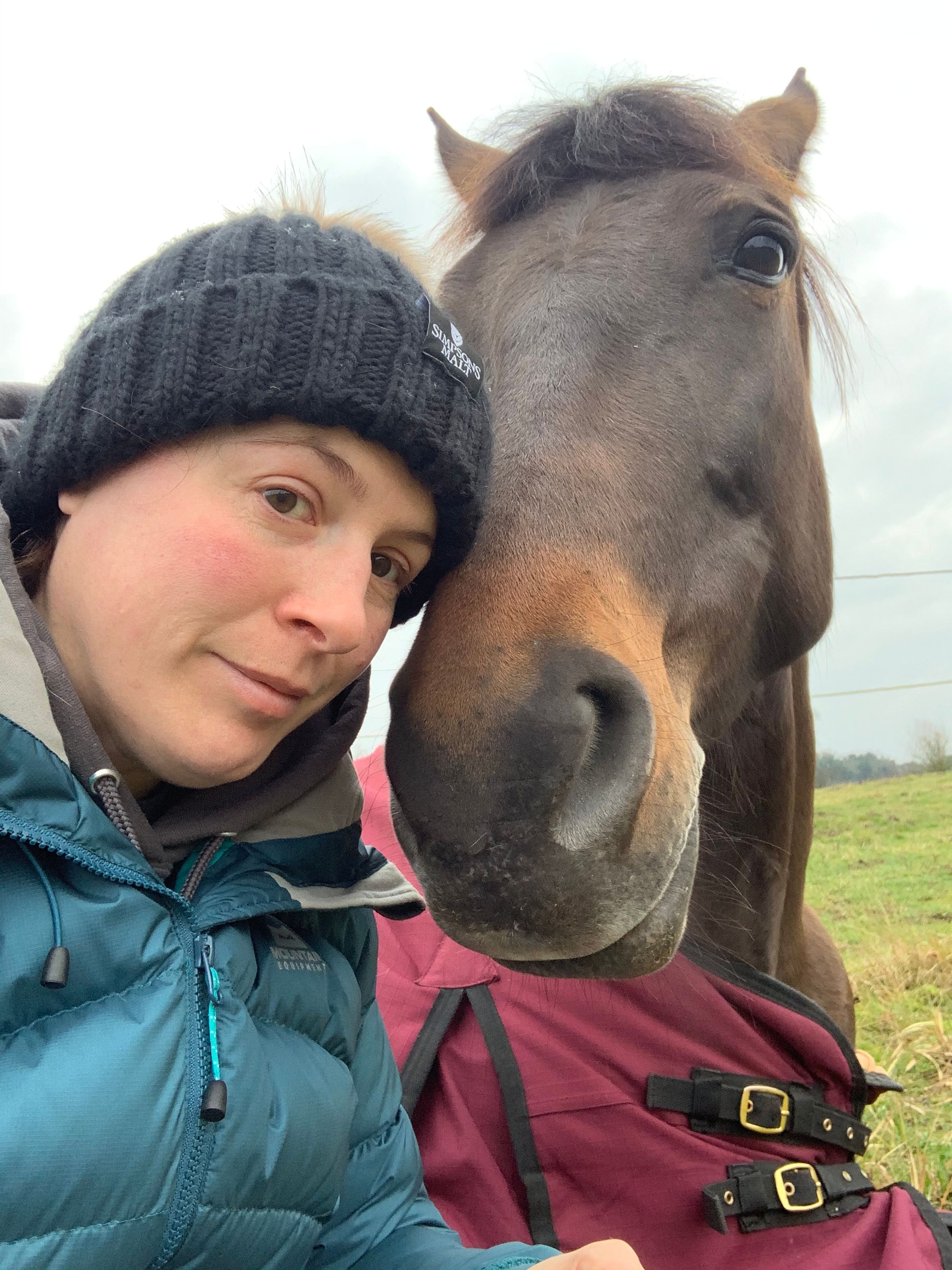 Sophie de Ronde Equine Touch's image