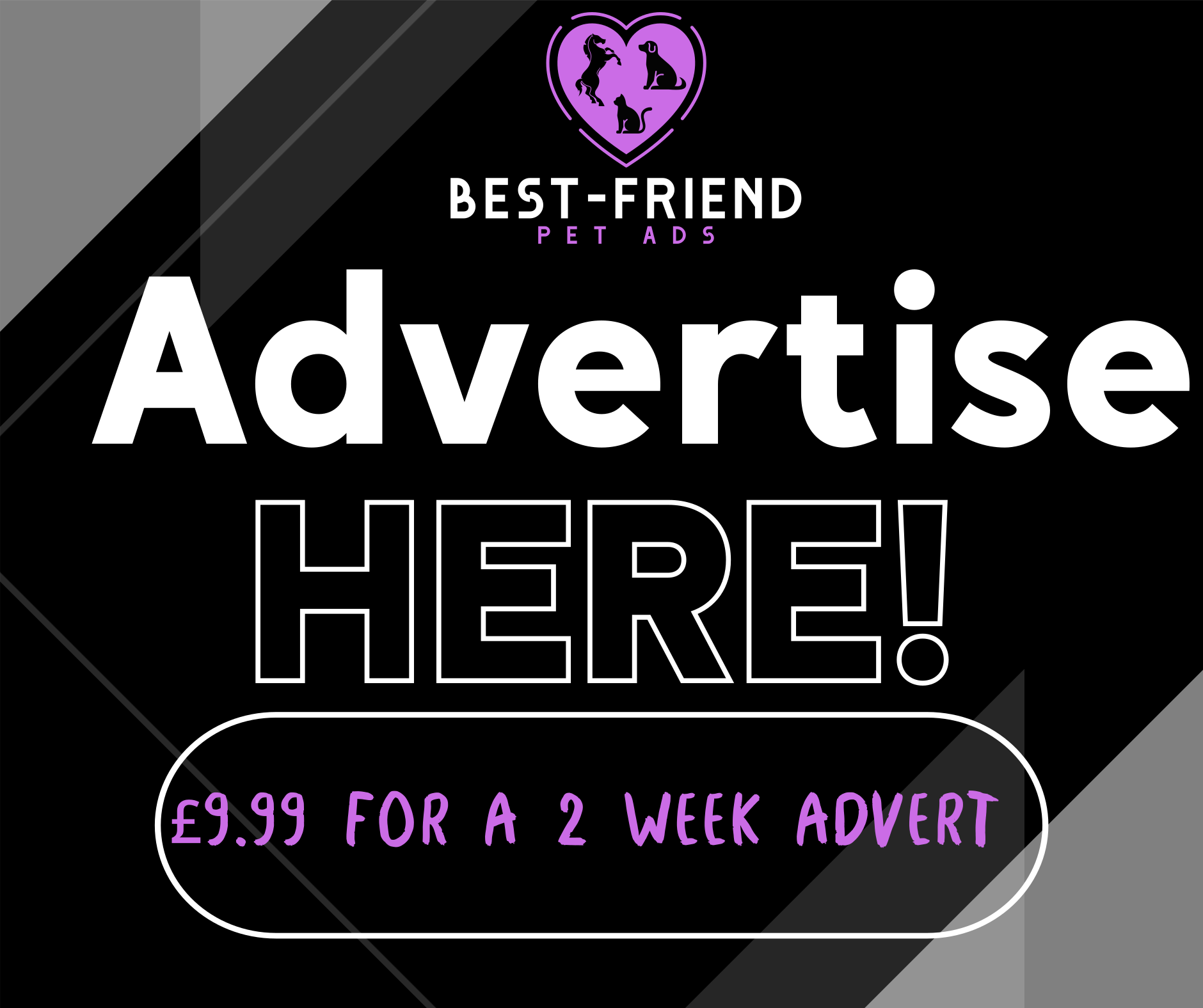 BEST FRIEND PET ADS 's image