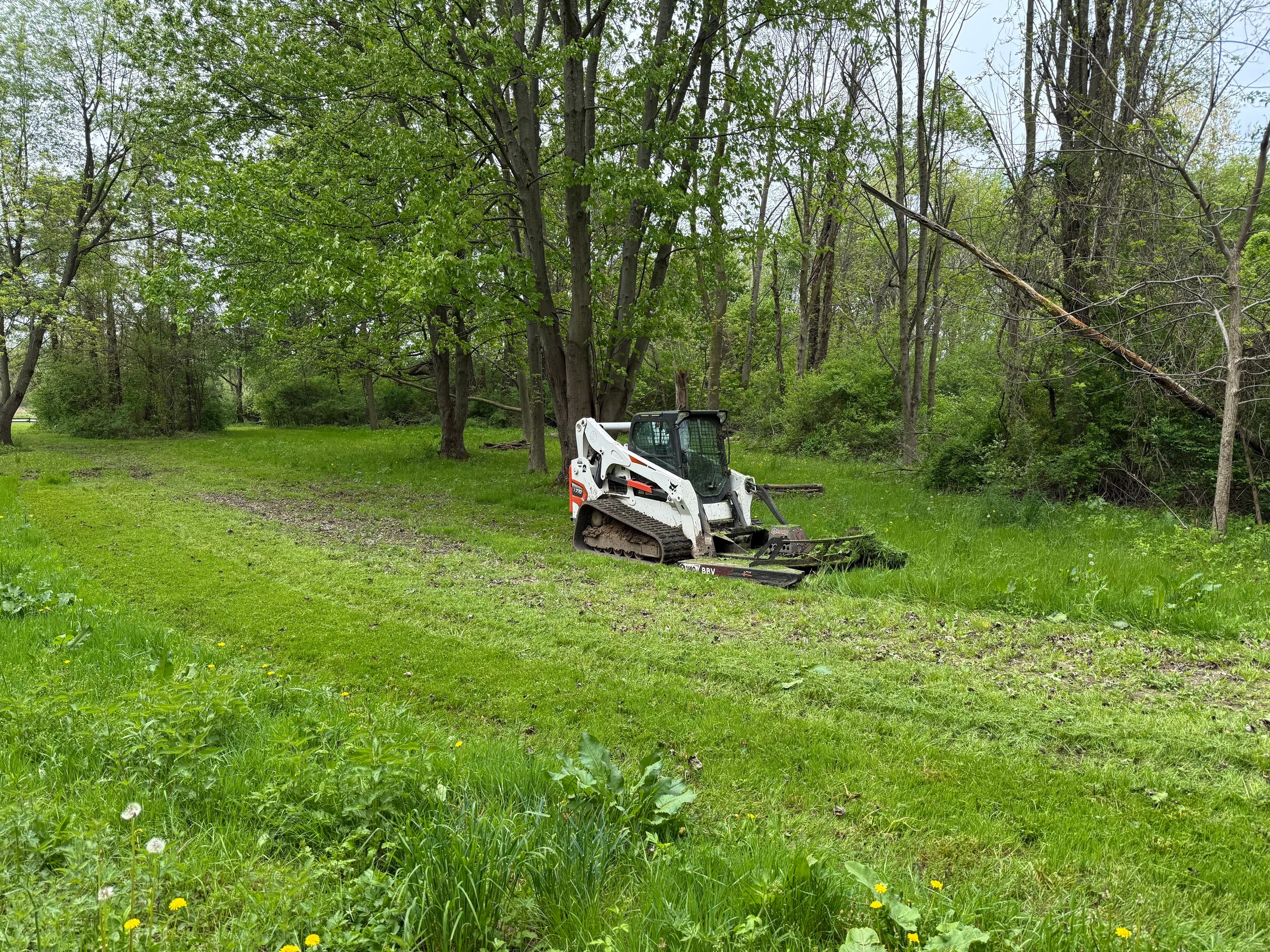 WNY Forestry Services LLC's image