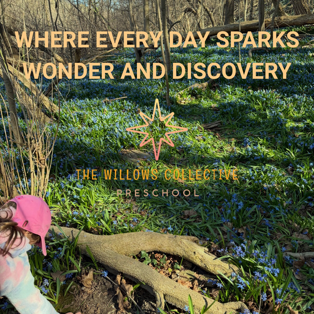 Exploring Cedarvale Ravine