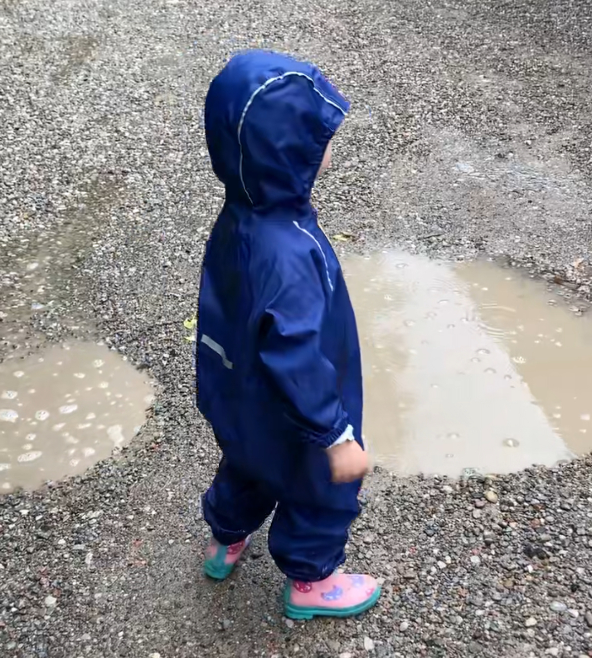 Intentional Preschool & Kindergarten Prep | Midtown Toronto's image