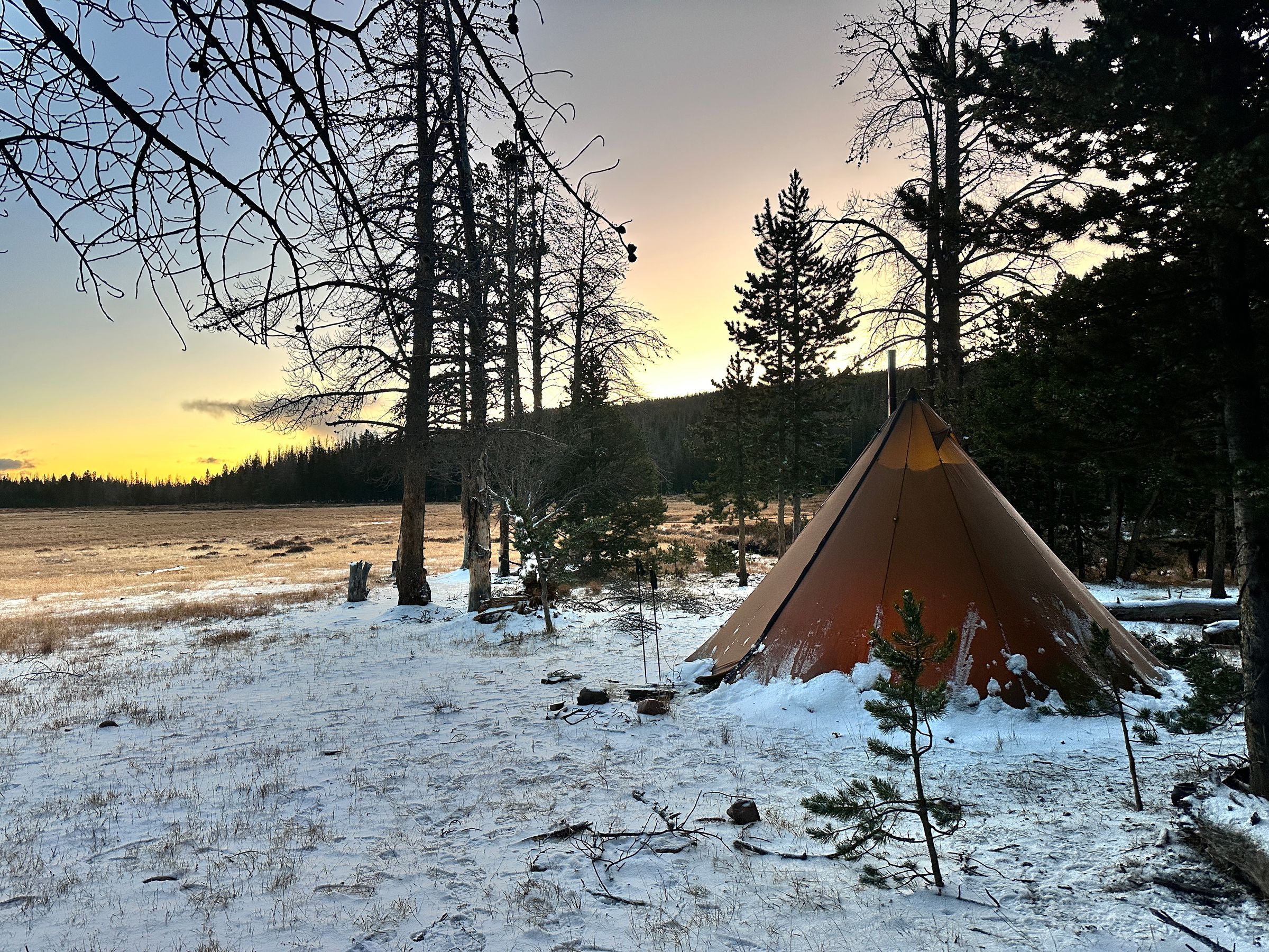 Mountain West
 Land Surveying 's image