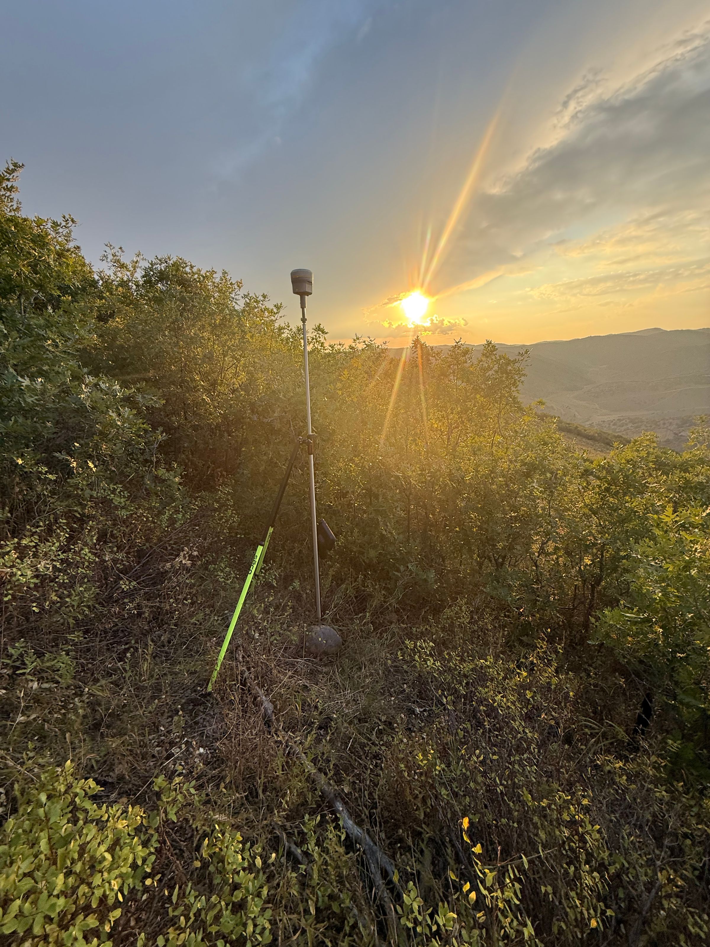 Mountain West
 Land Surveying 's image