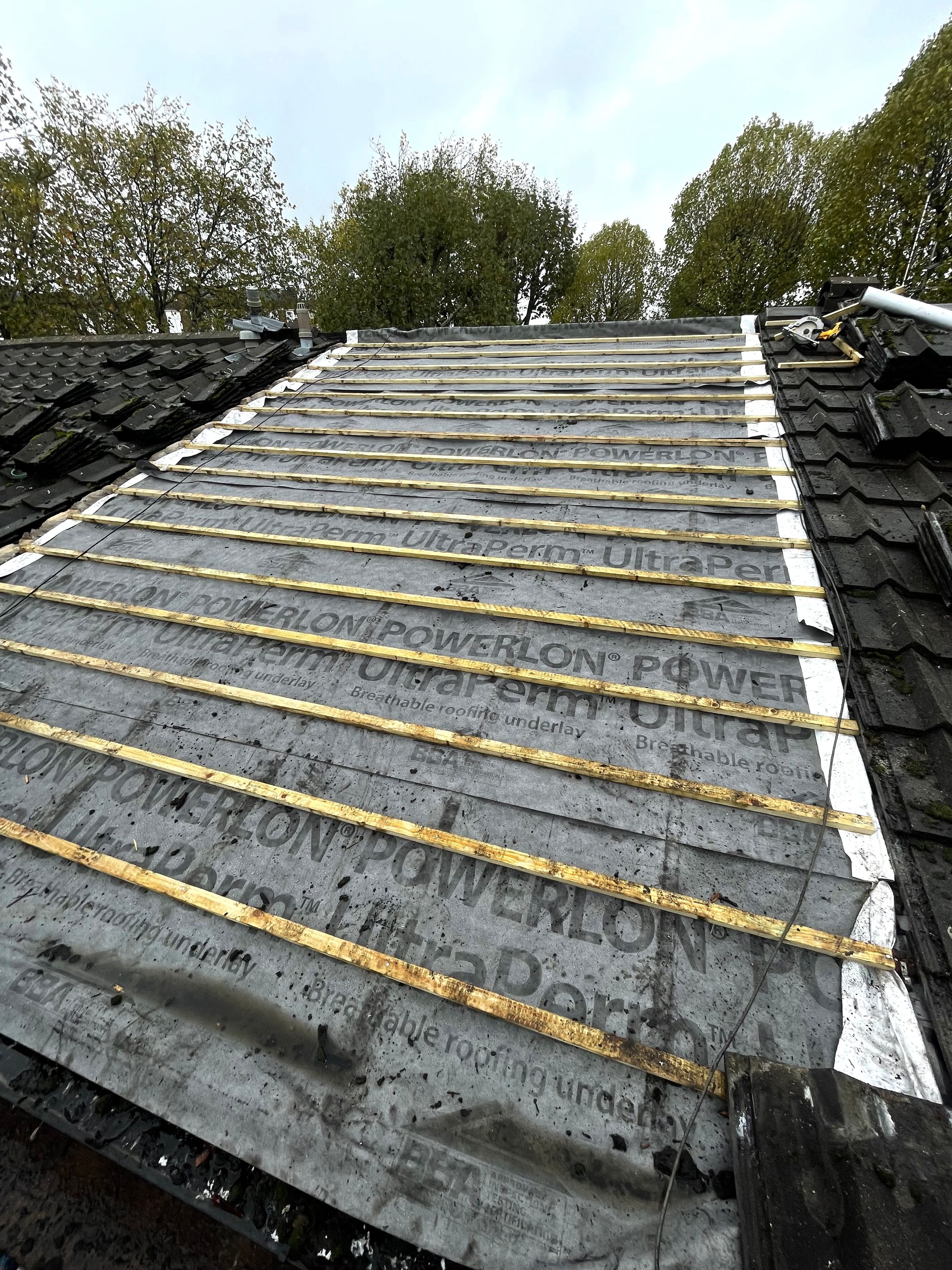 Rose height roofing's image