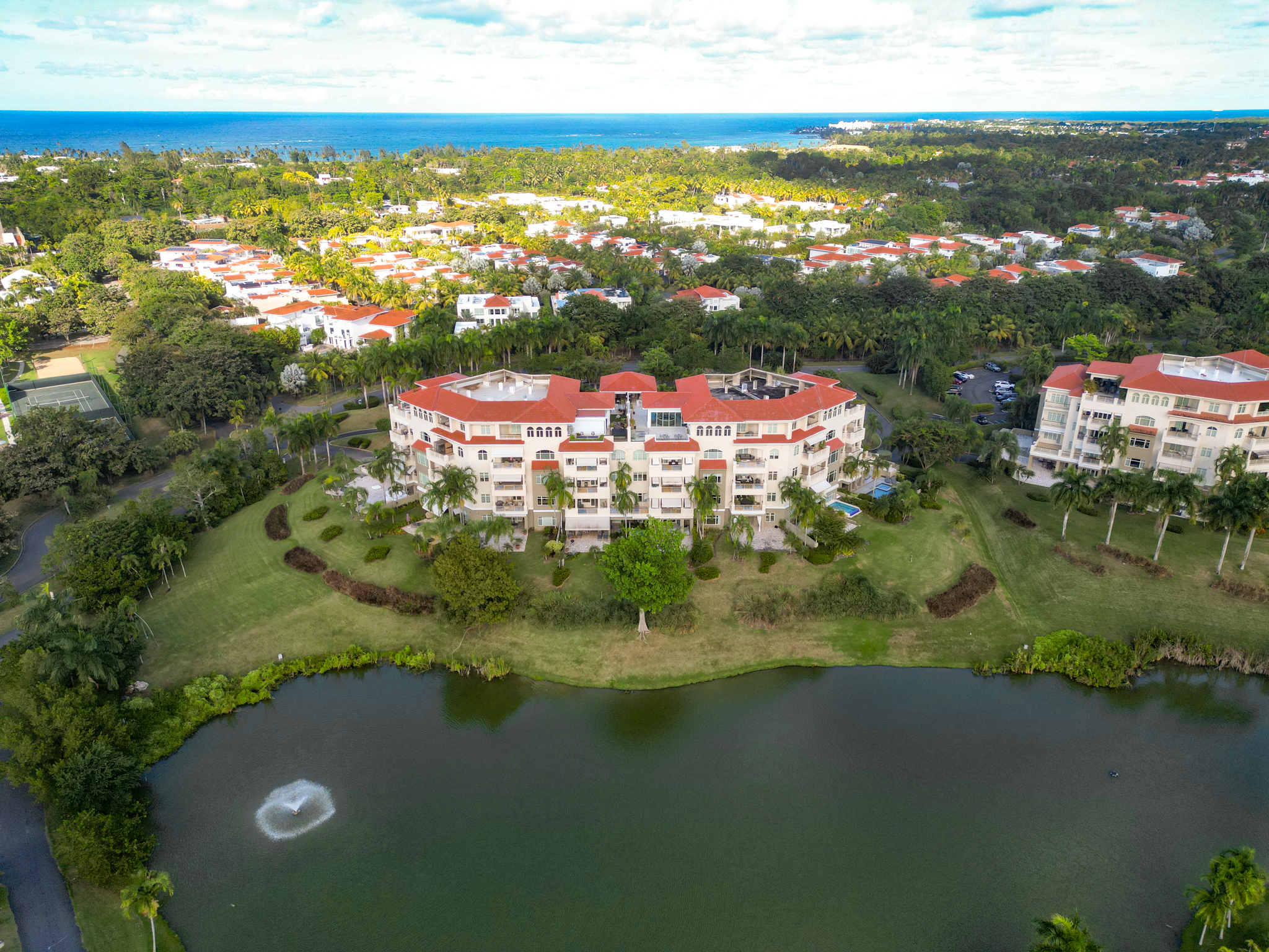 AE Photography's image