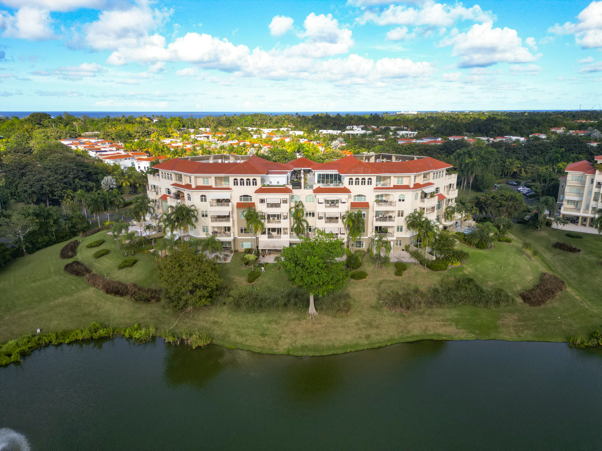 AE Photography's image