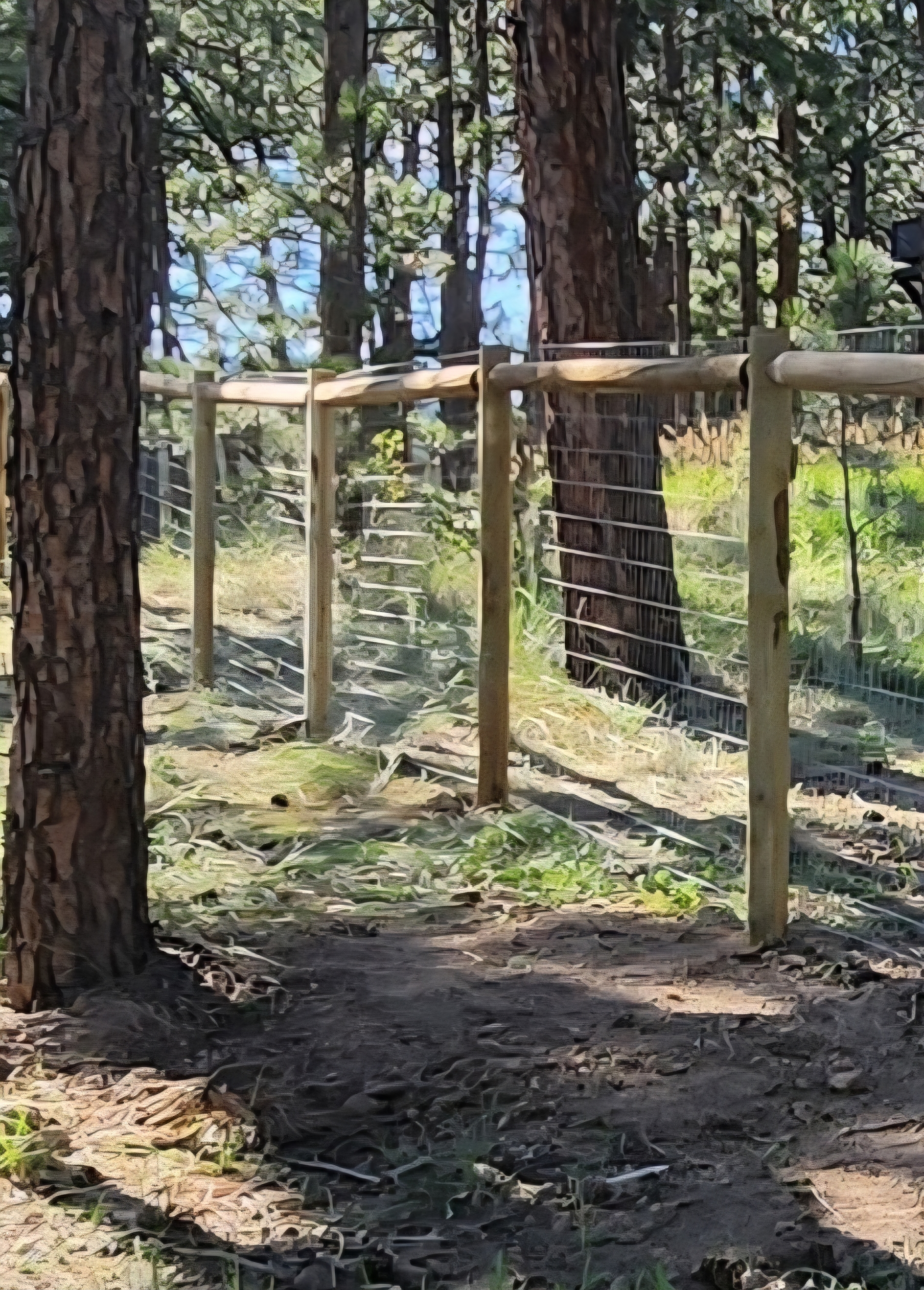 Burrfect Fencing   's image